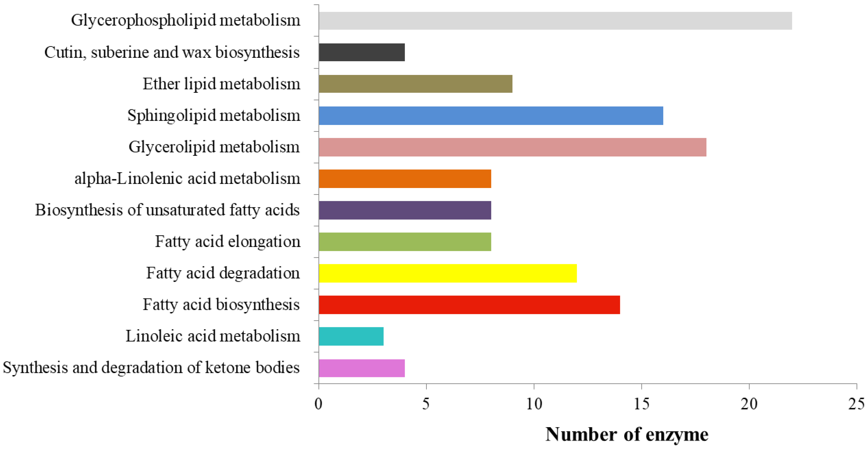 Forests 13 01806 g002