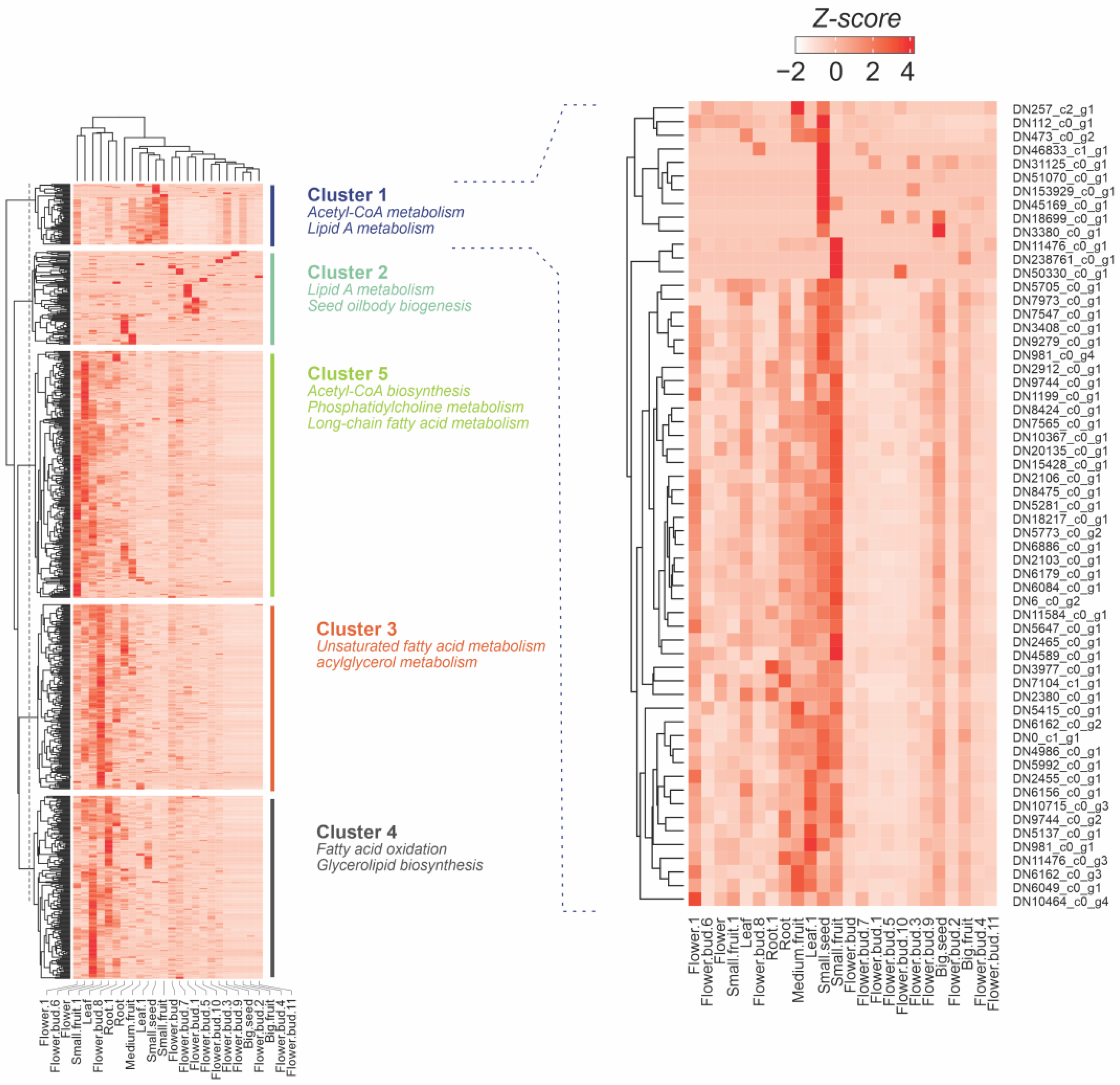 Forests 13 01806 g004