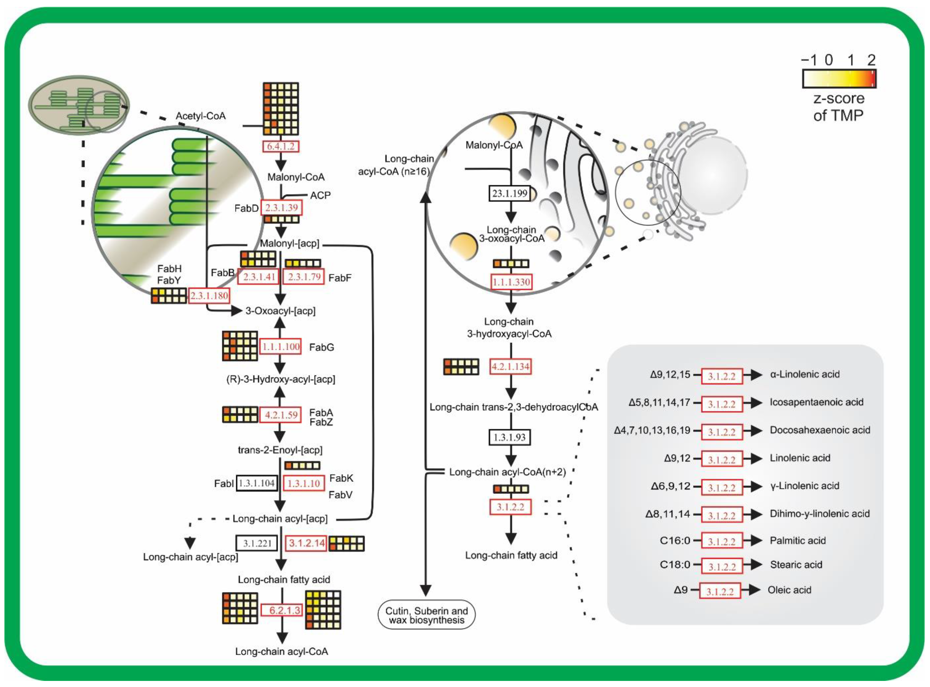 Forests 13 01806 g005