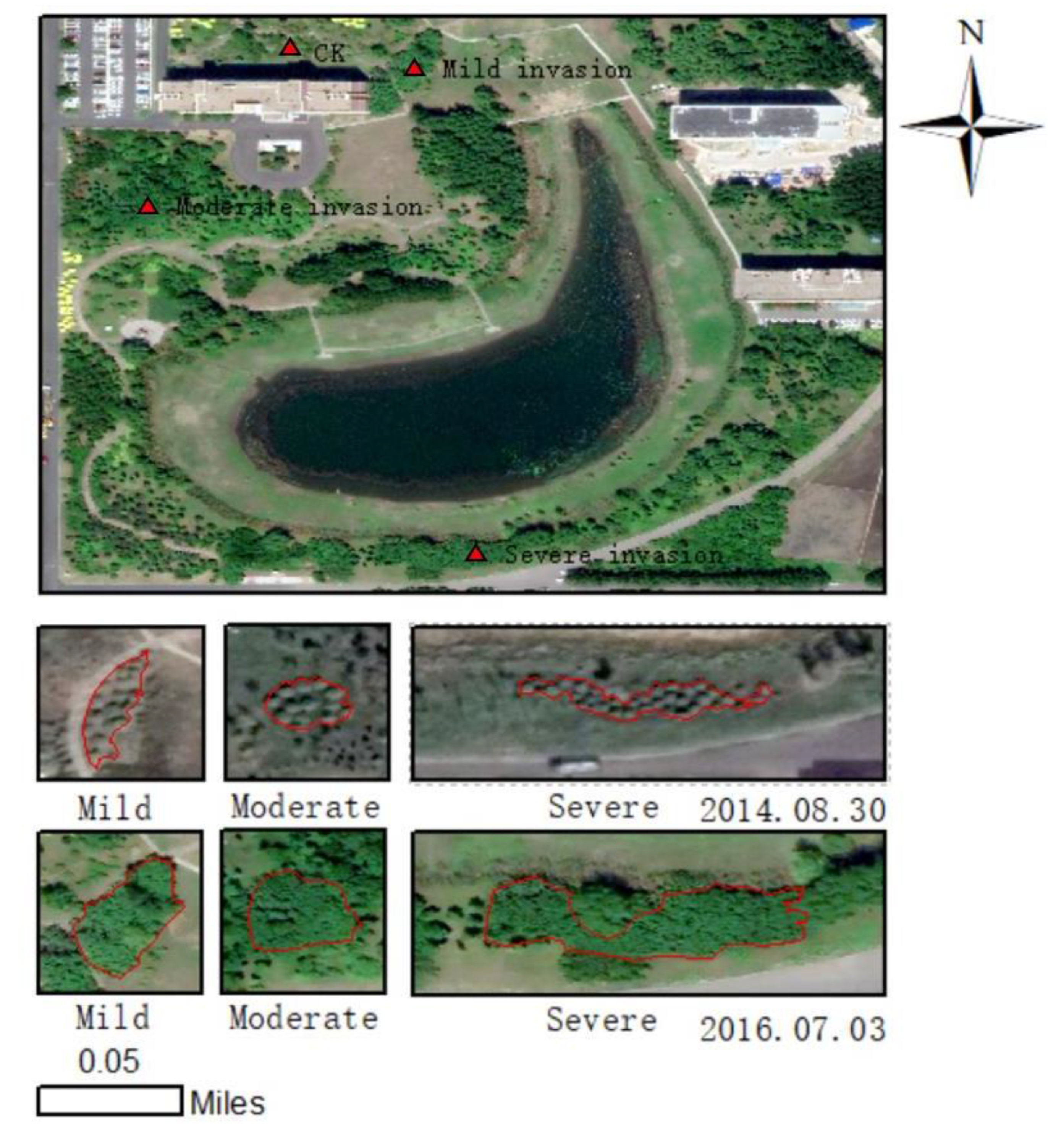 Forests 13 01827 g001