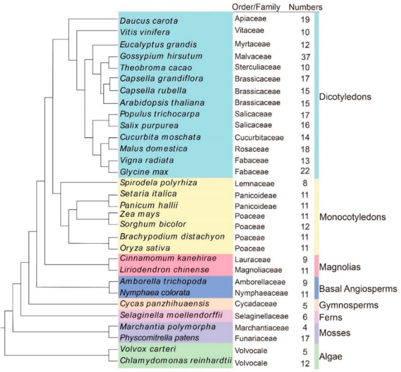 Forests 13 01835 g001