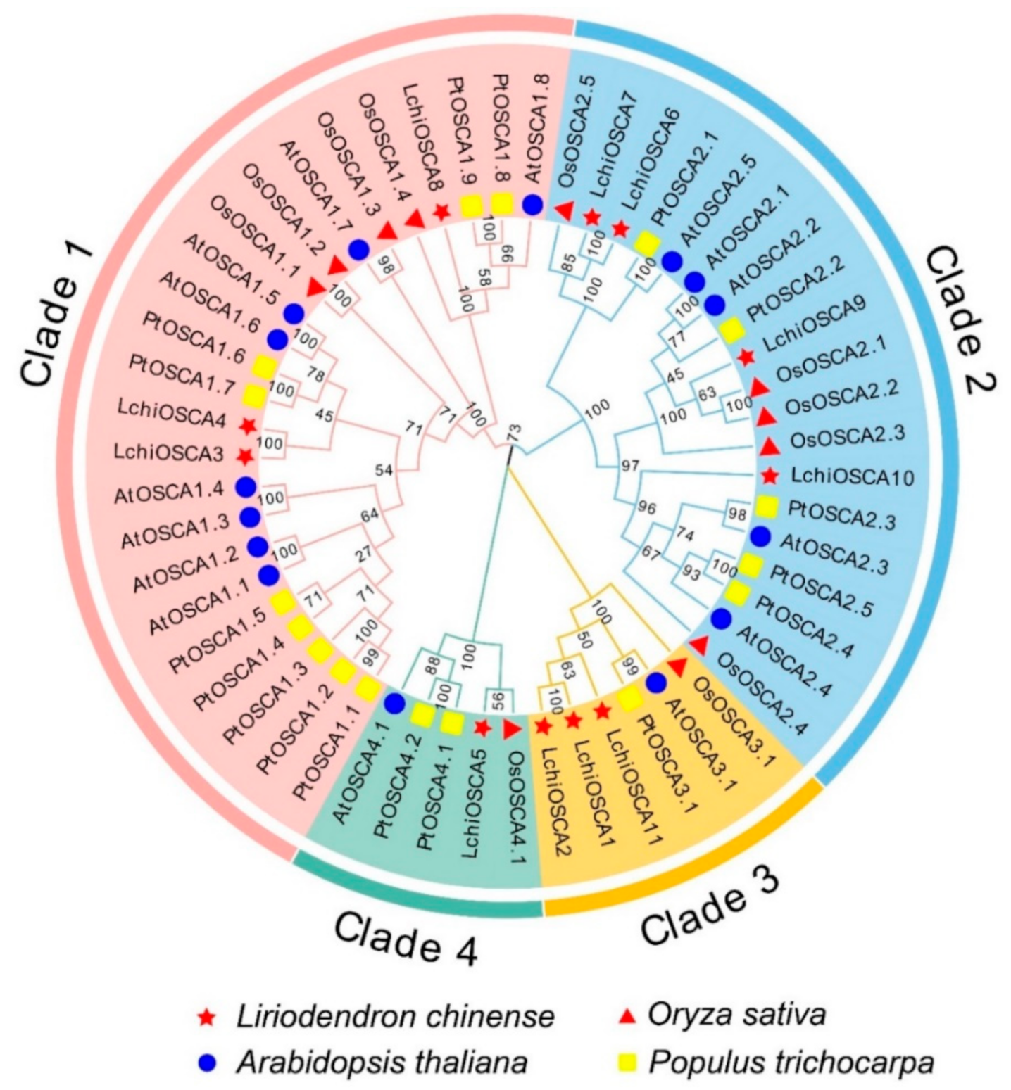 Forests 13 01835 g003