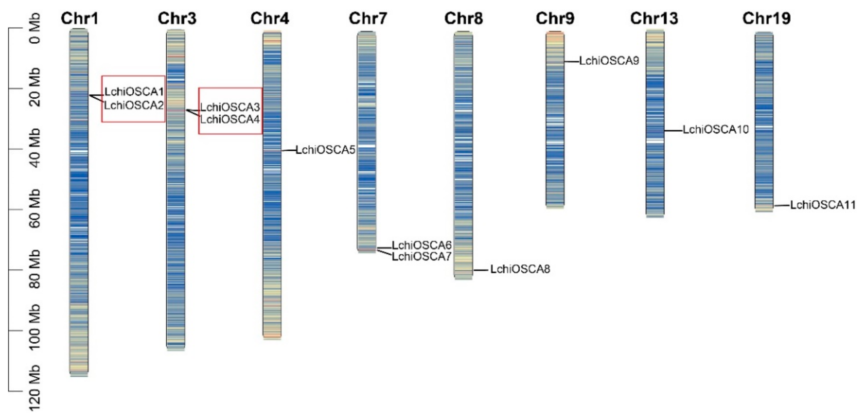 Forests 13 01835 g005