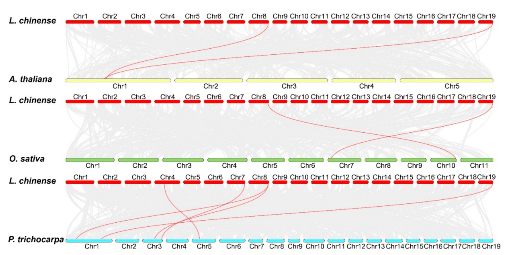 Forests 13 01835 g006
