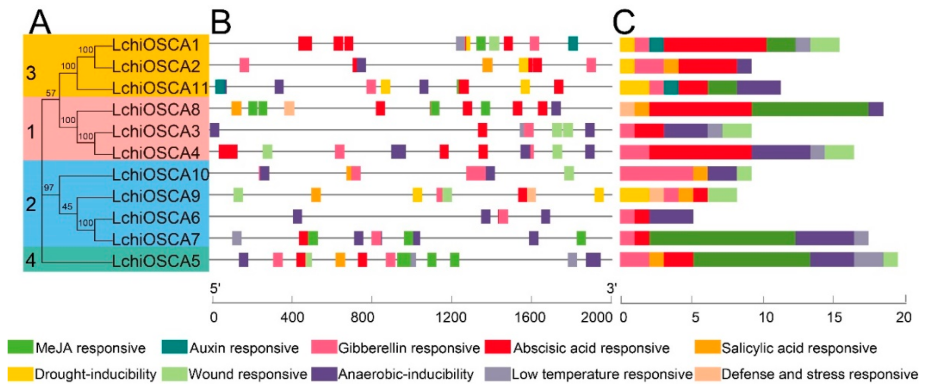 Forests 13 01835 g007