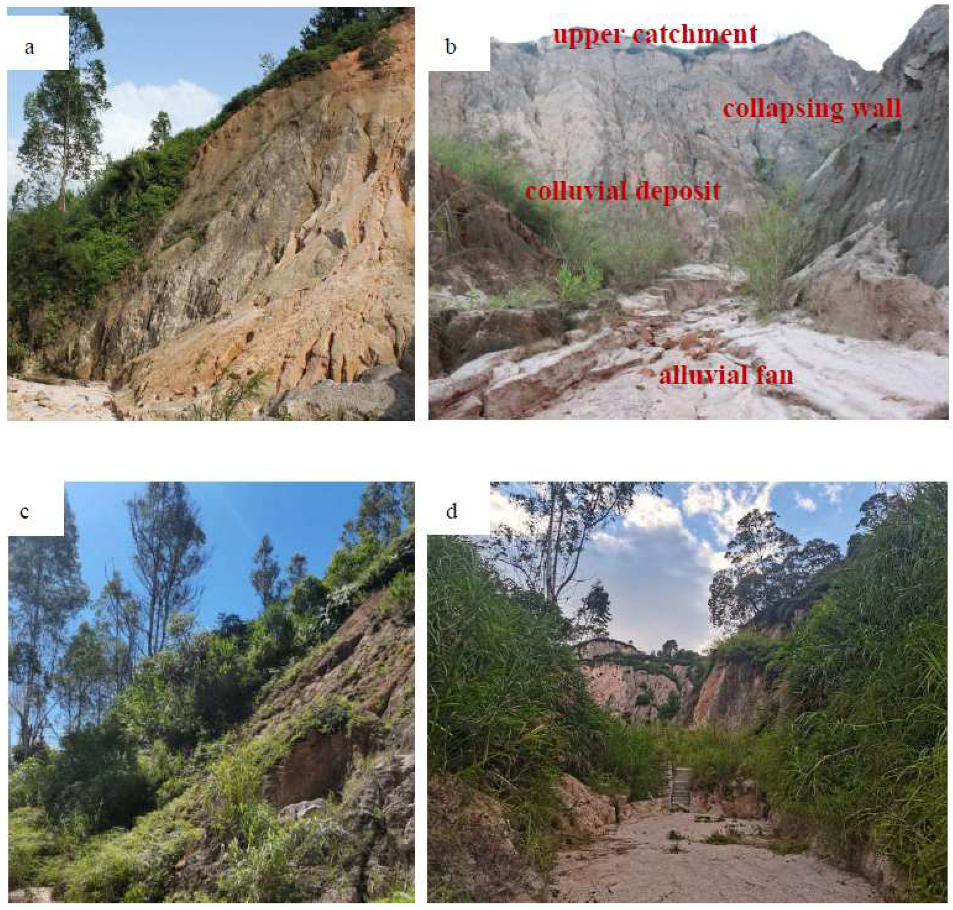 Forests 13 01843 g001