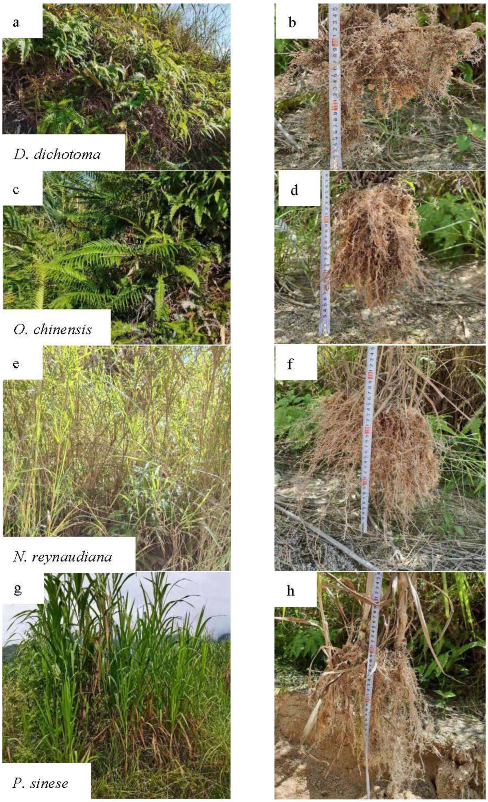 Forests 13 01843 g002