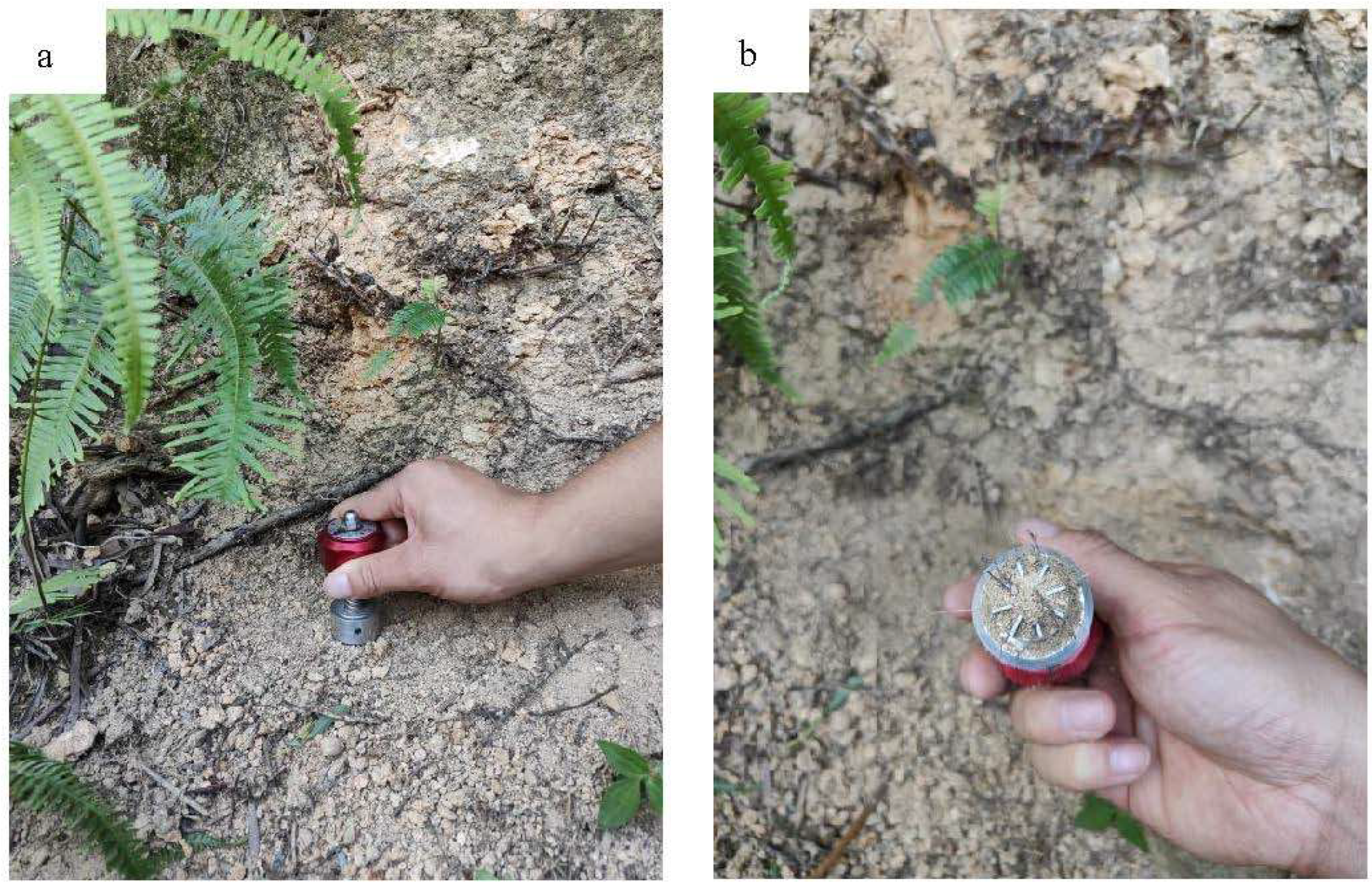 Forests 13 01843 g004