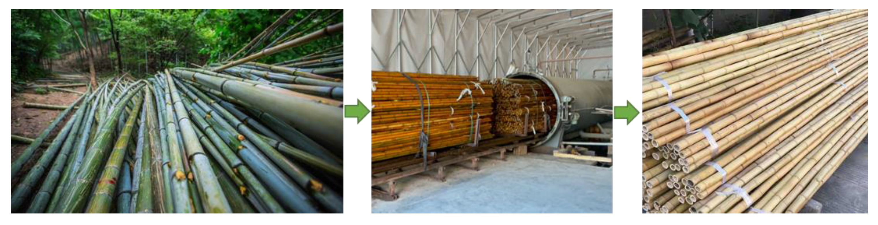 Forests 13 01851 g001