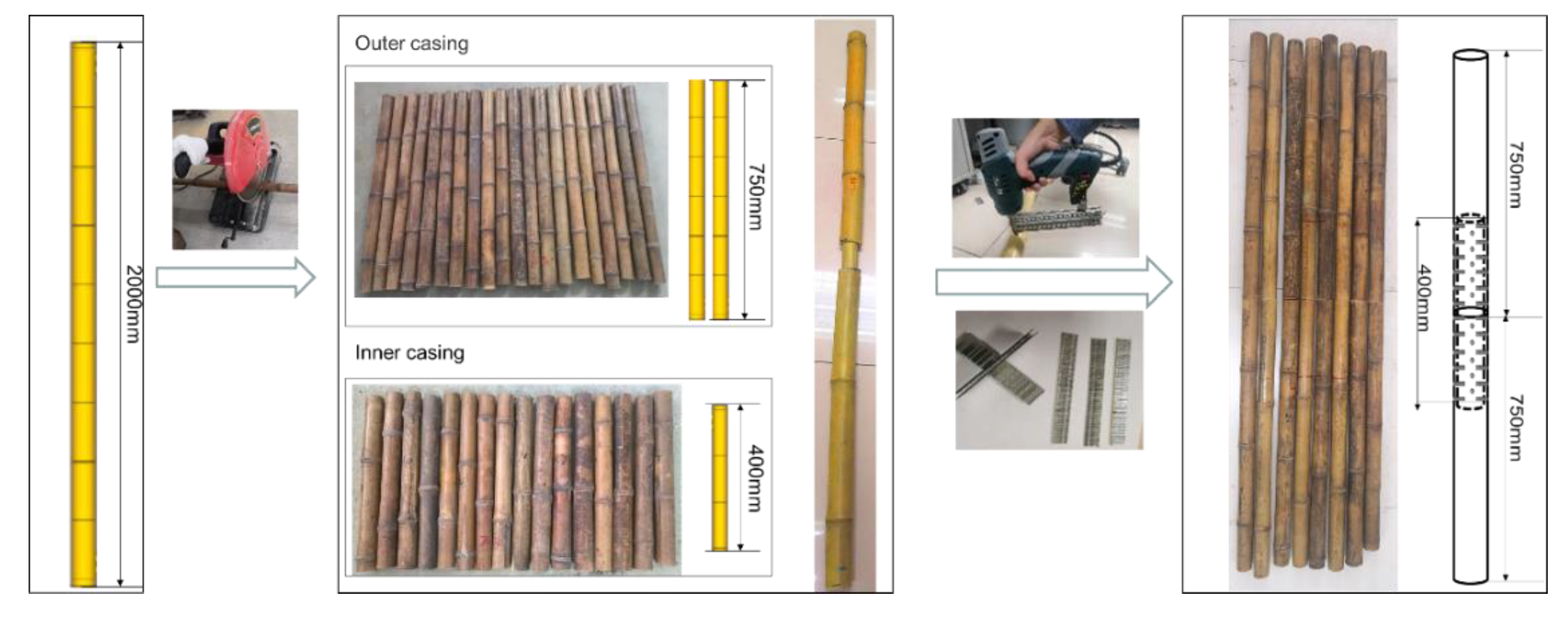 Forests 13 01851 g002