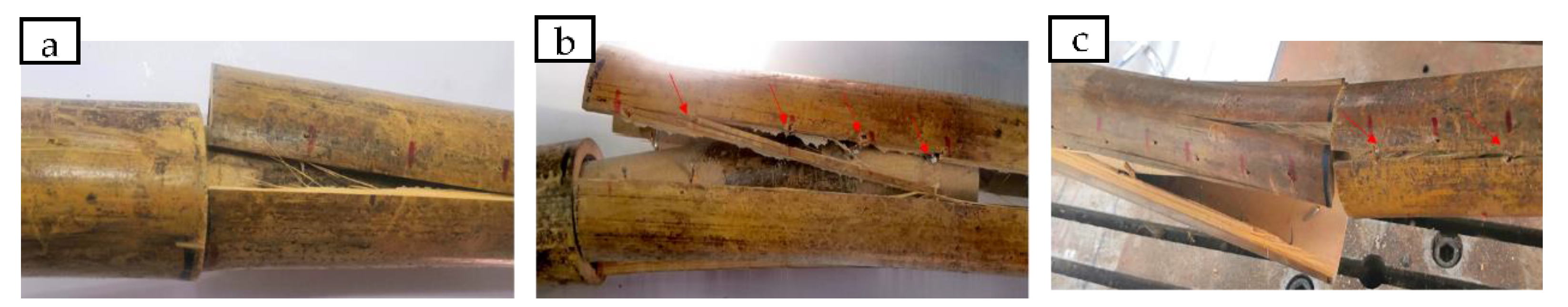 Forests 13 01851 g006