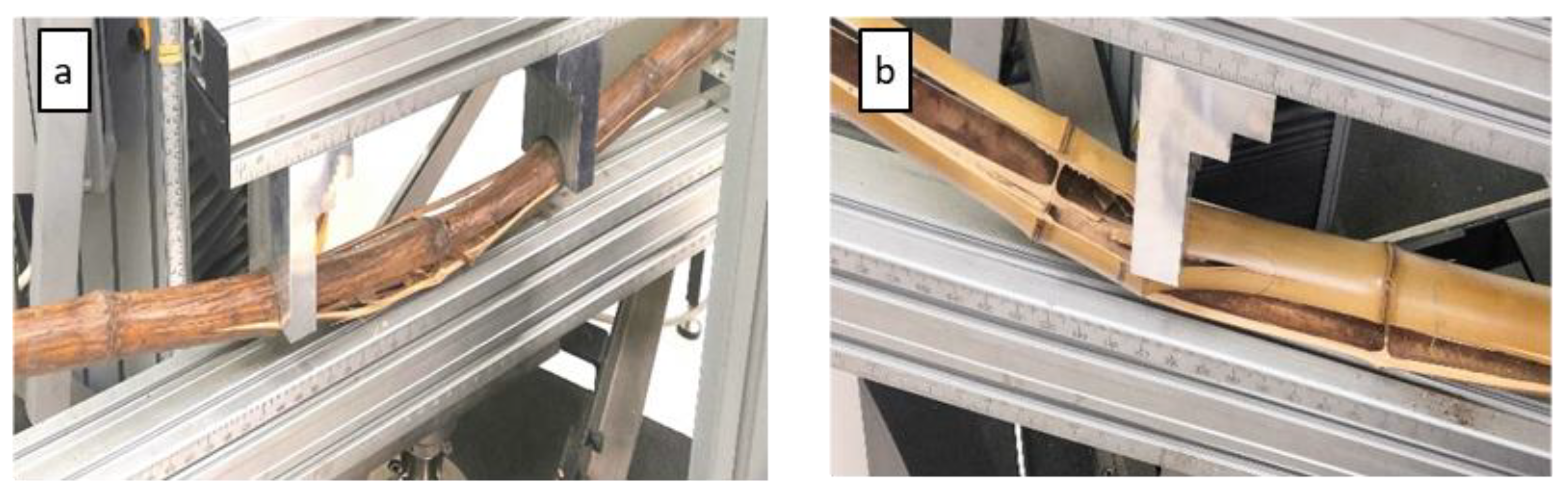 Forests 13 01851 g007