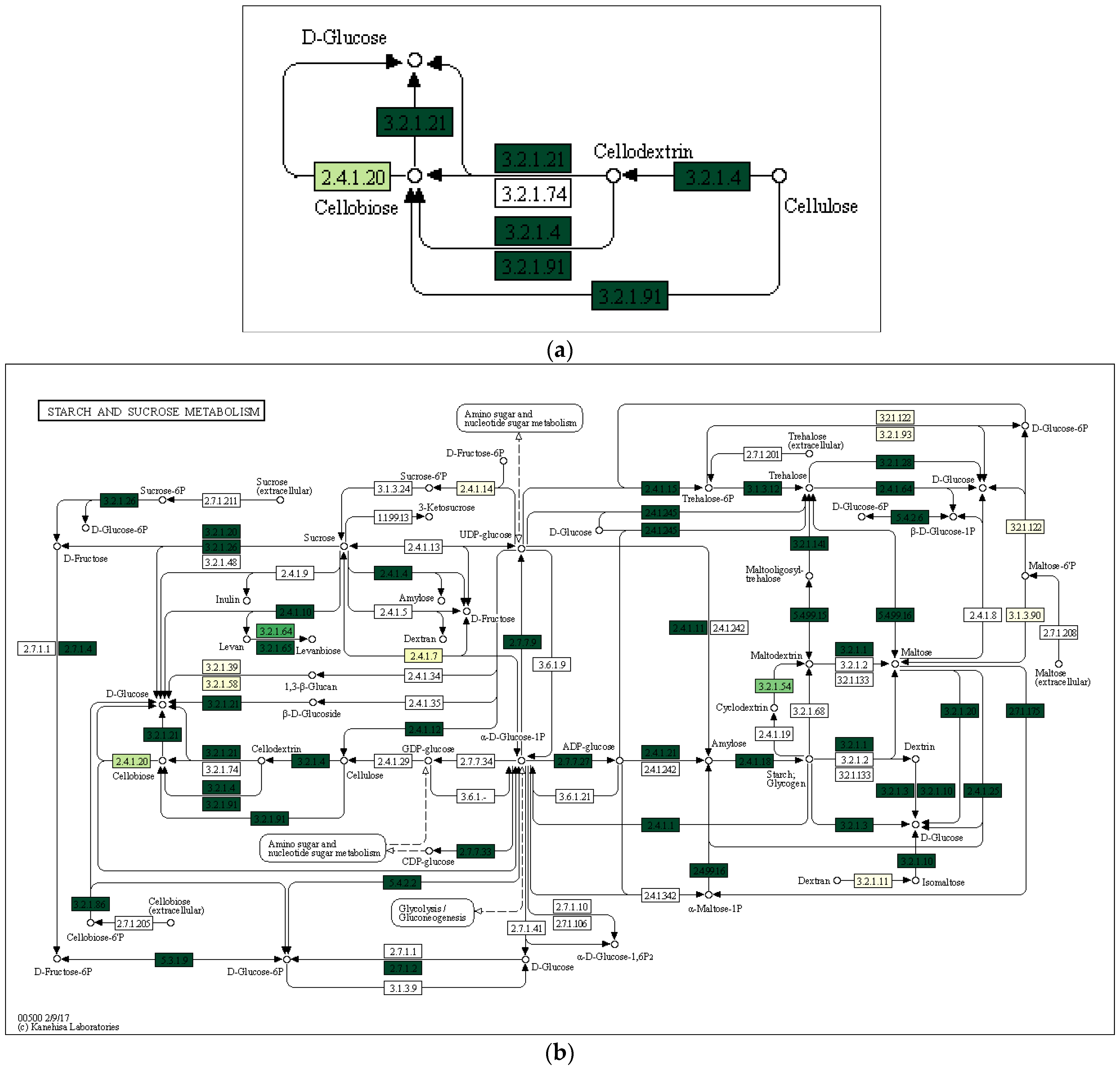 Forests 13 01863 g007a