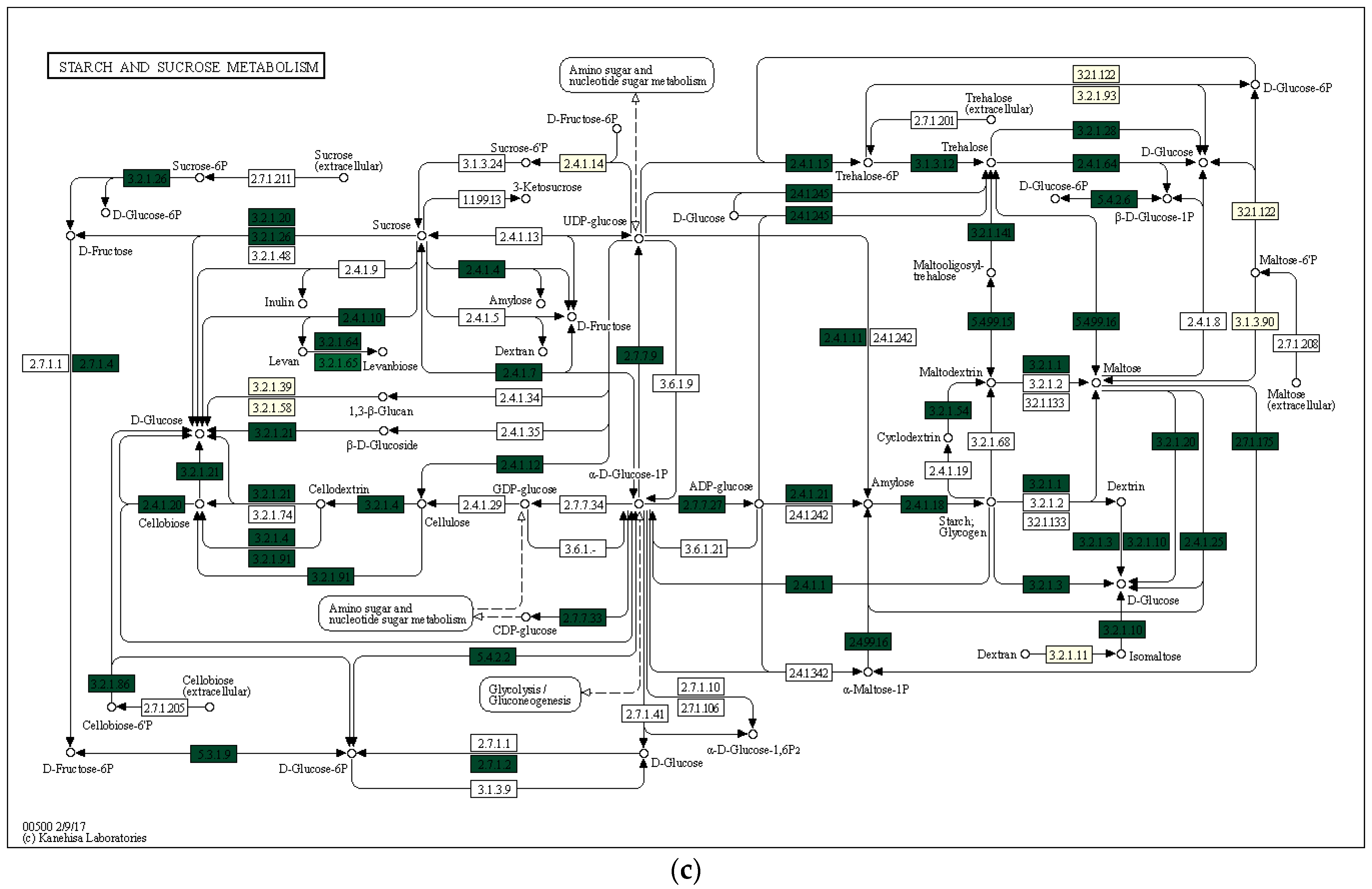Forests 13 01863 g007b