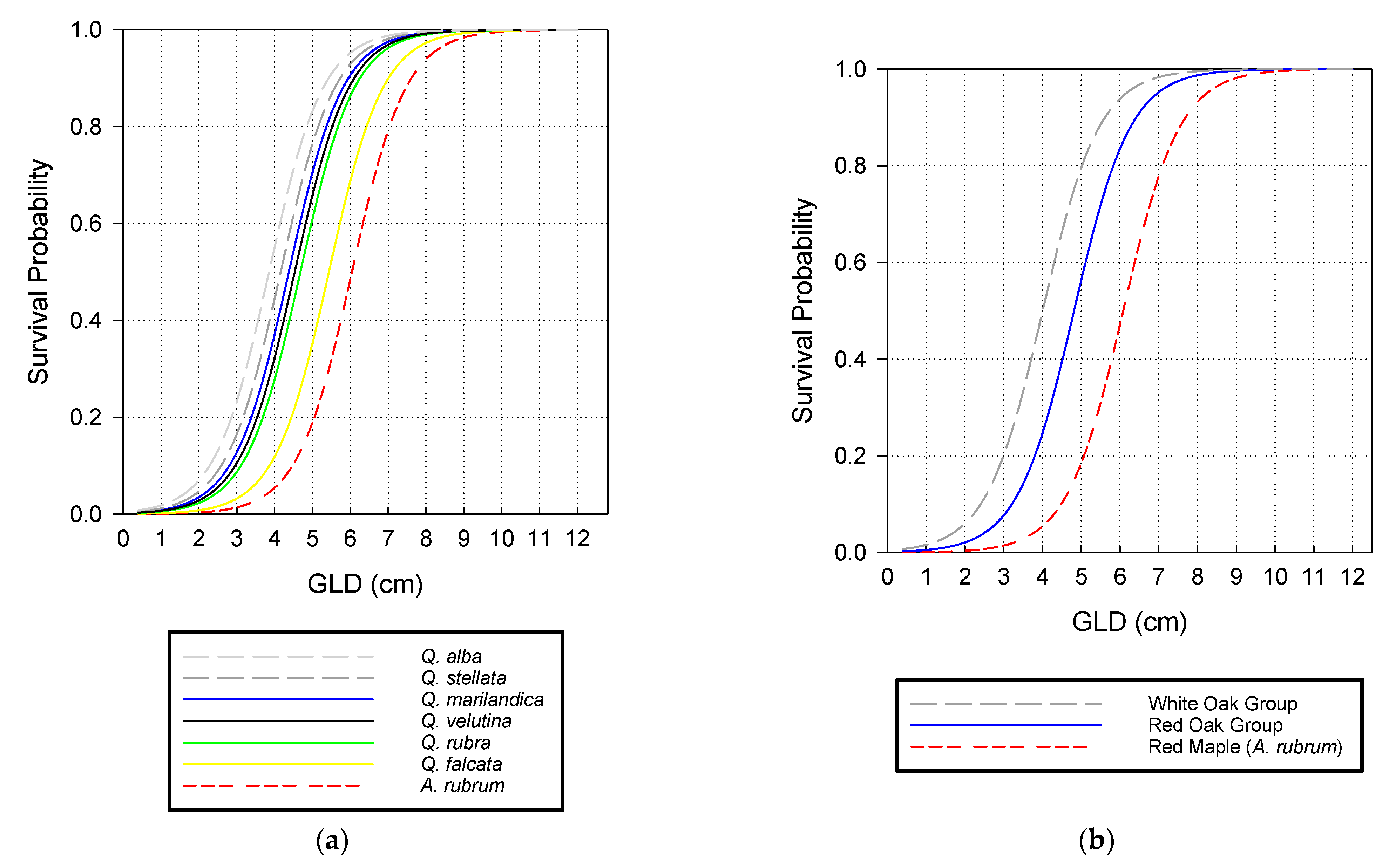 Forests 13 01865 g001