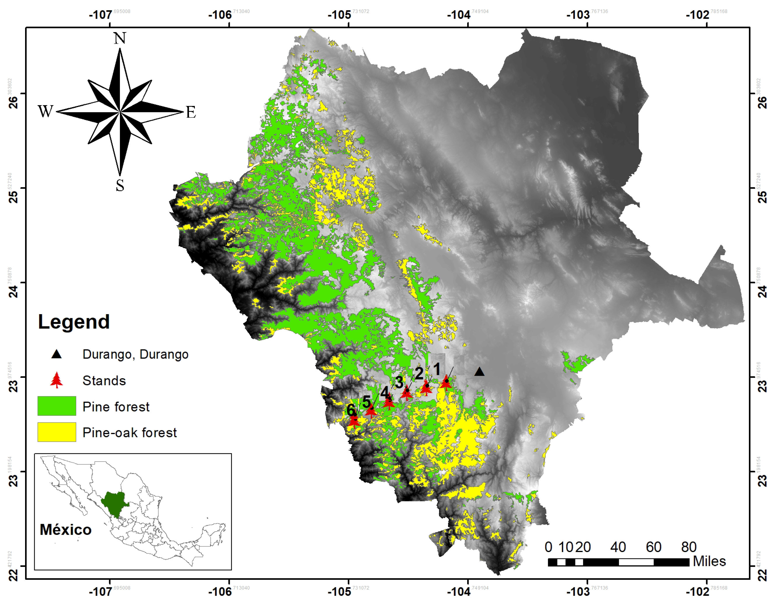 Forests 13 01866 g001 Forests 13 01866 g001