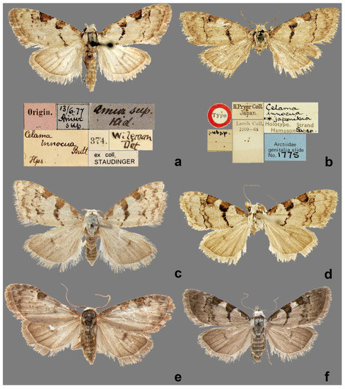 Forests 13 01881 g001