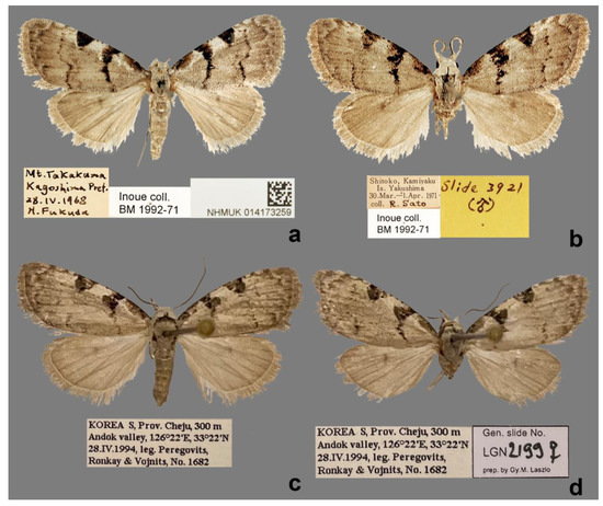Forests 13 01881 g003
