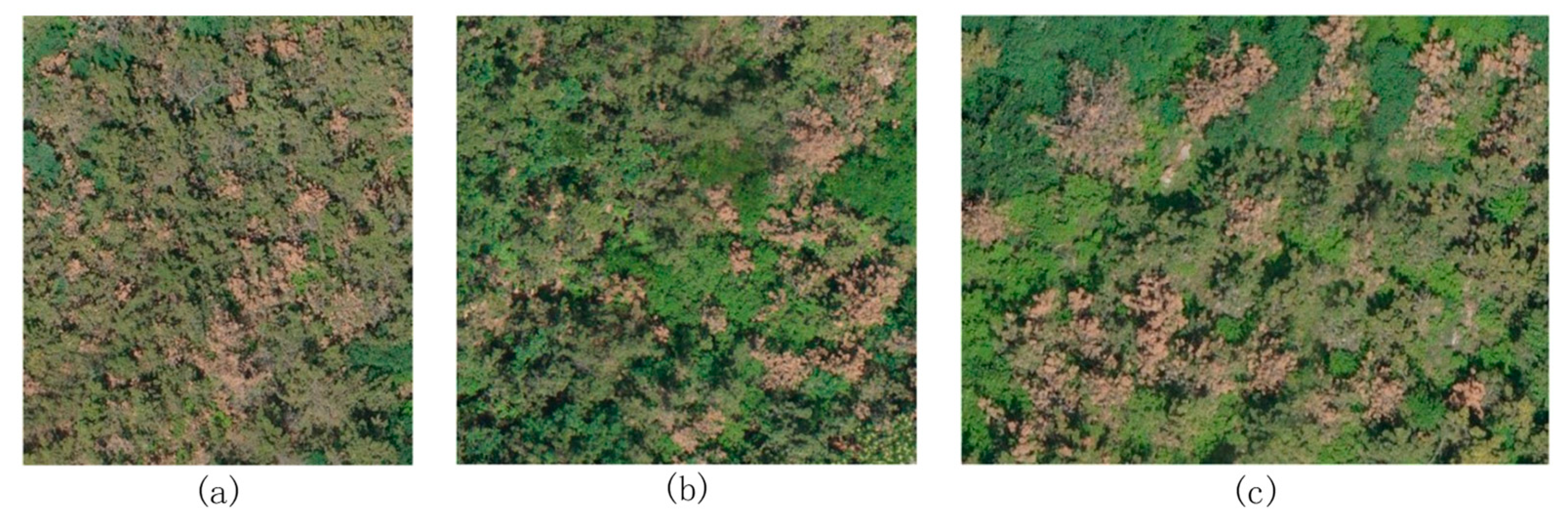 Forests 13 01884 g003