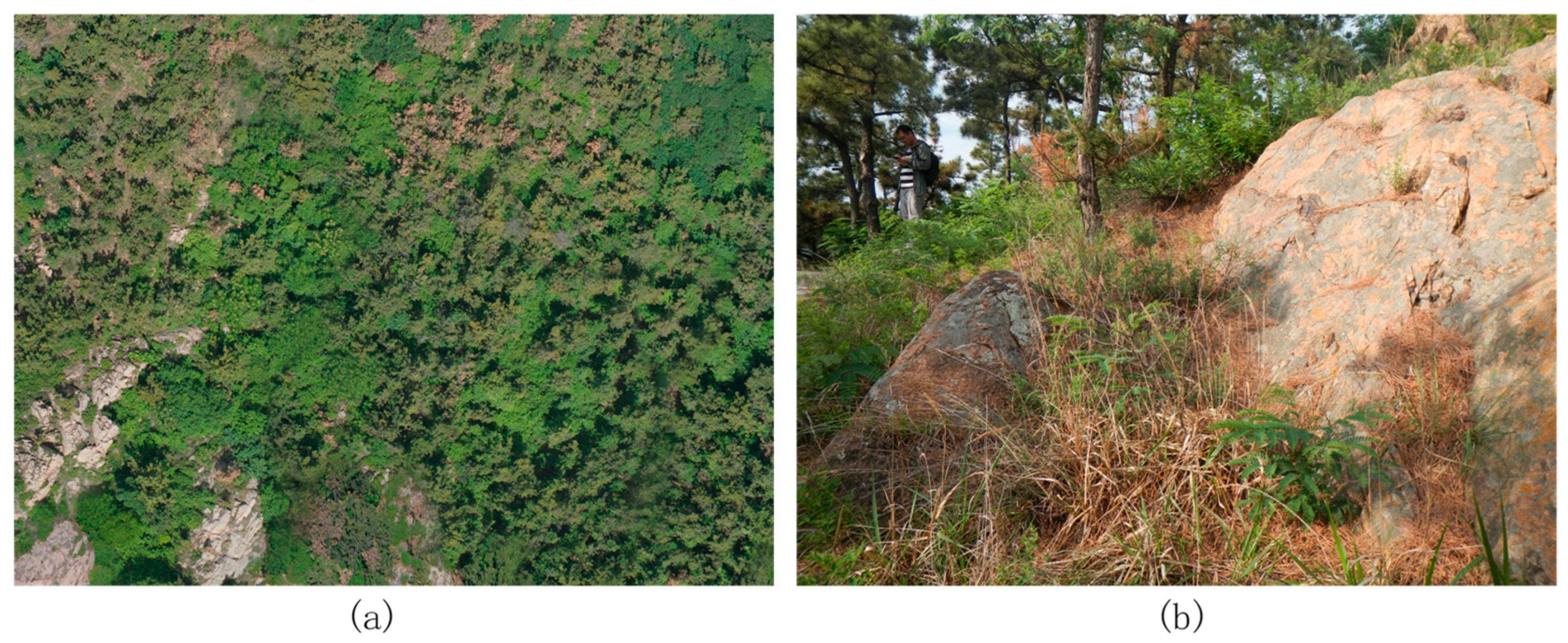 Forests 13 01884 g004