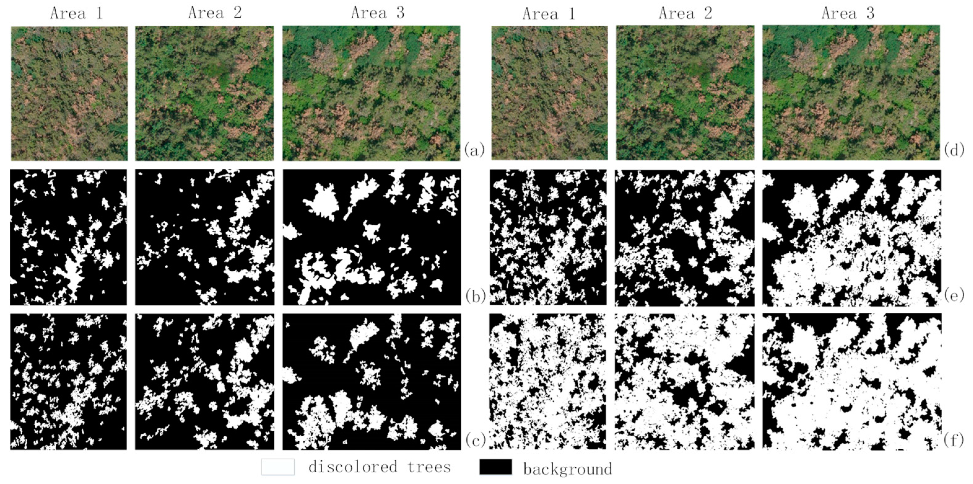 Forests 13 01884 g006