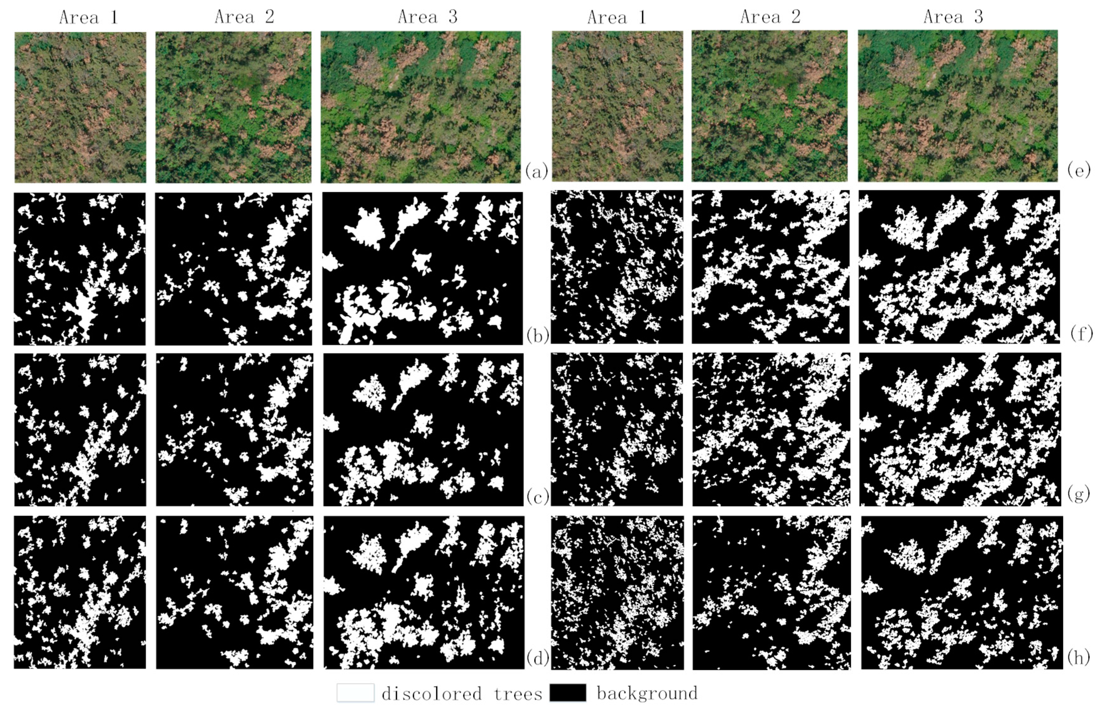 Forests 13 01884 g007