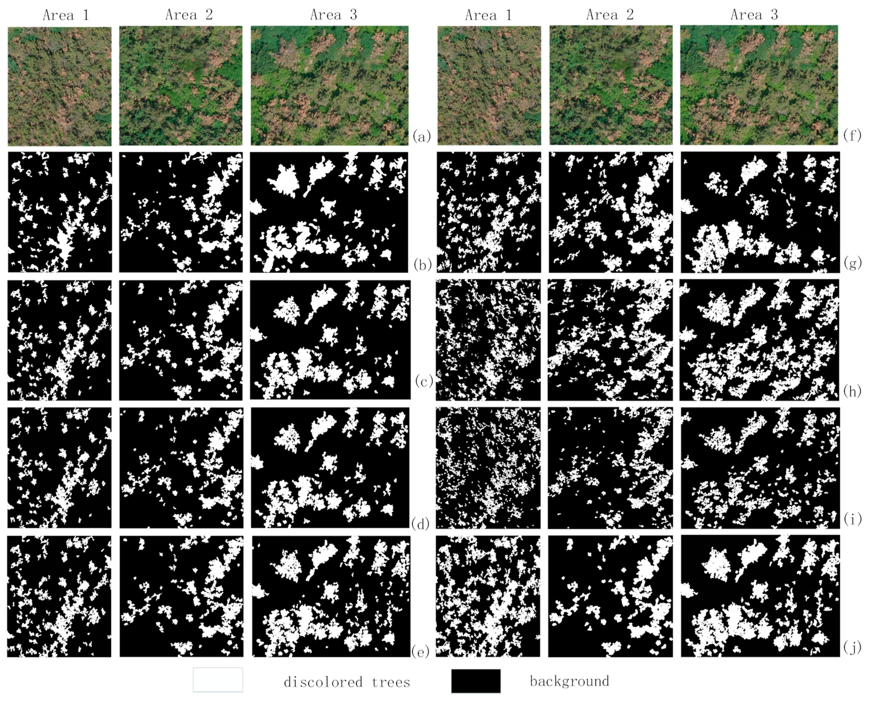 Forests 13 01884 g008