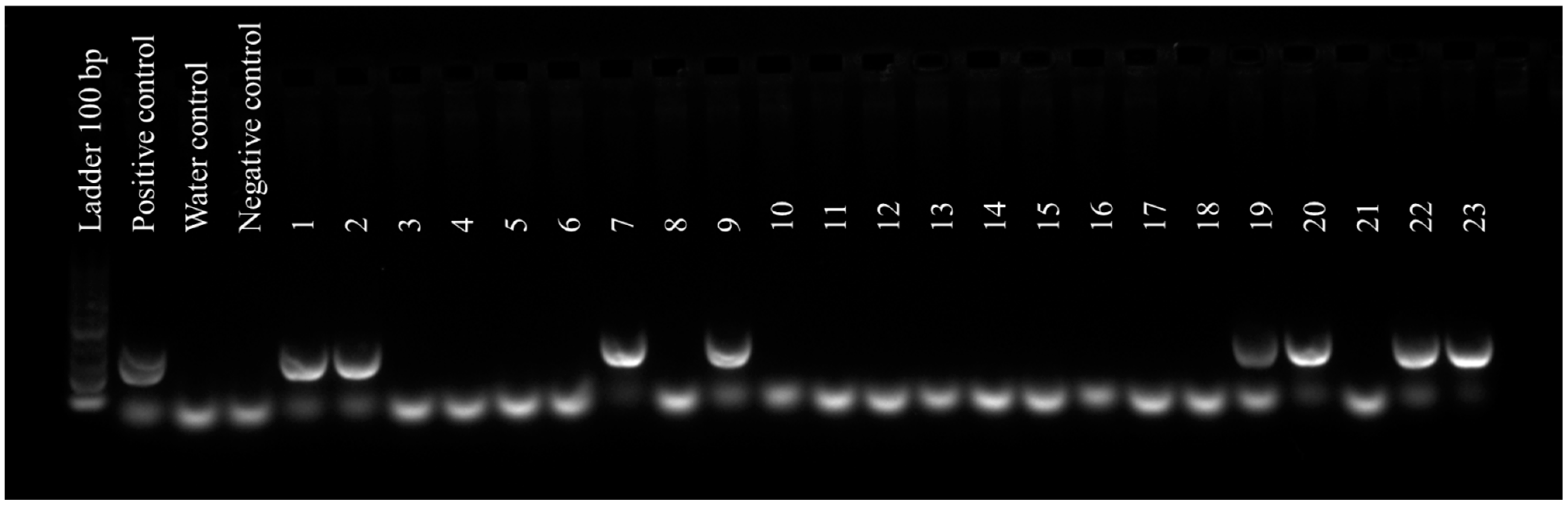 Forests 13 01894 g003
