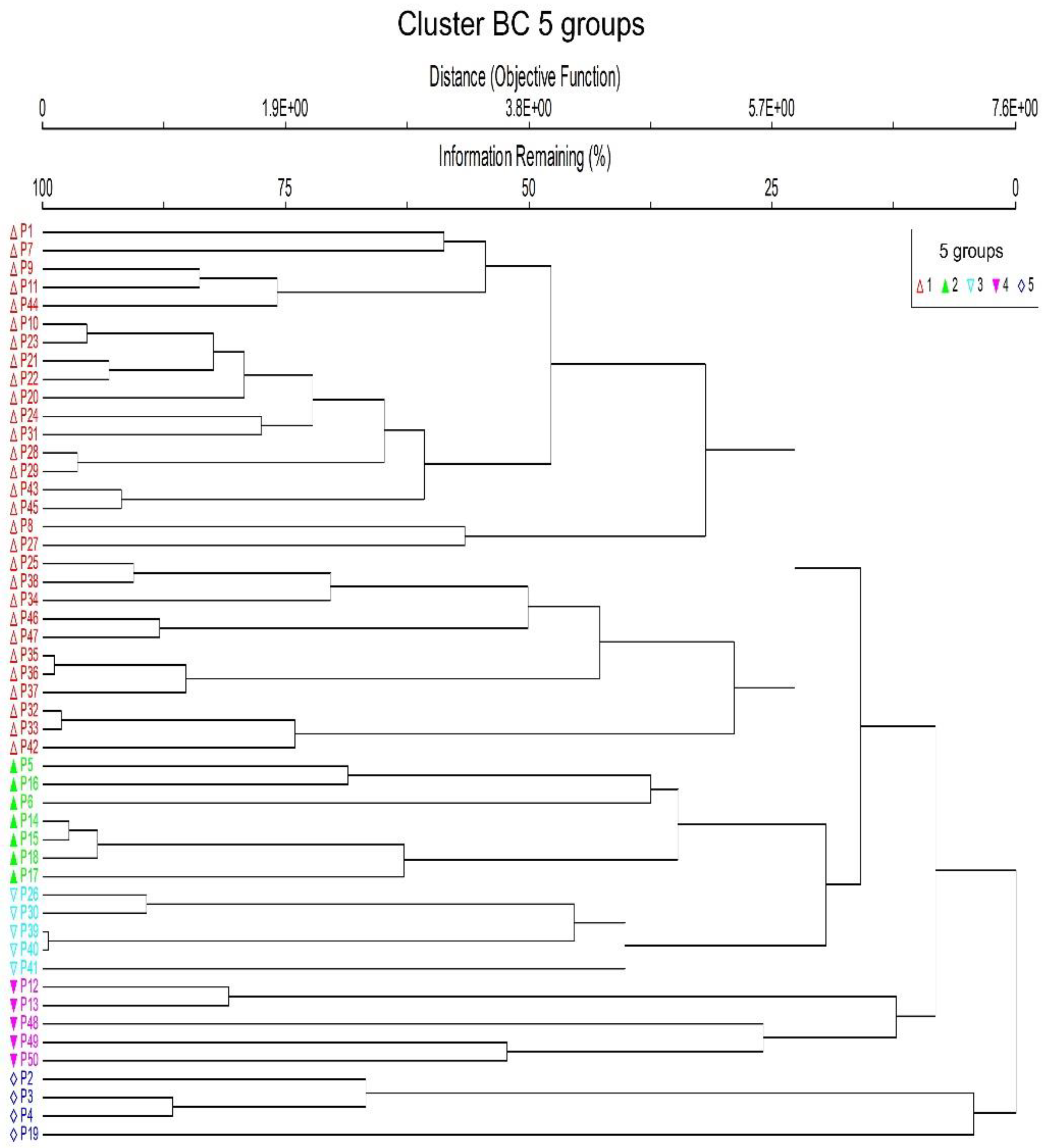Forests 13 01900 g003