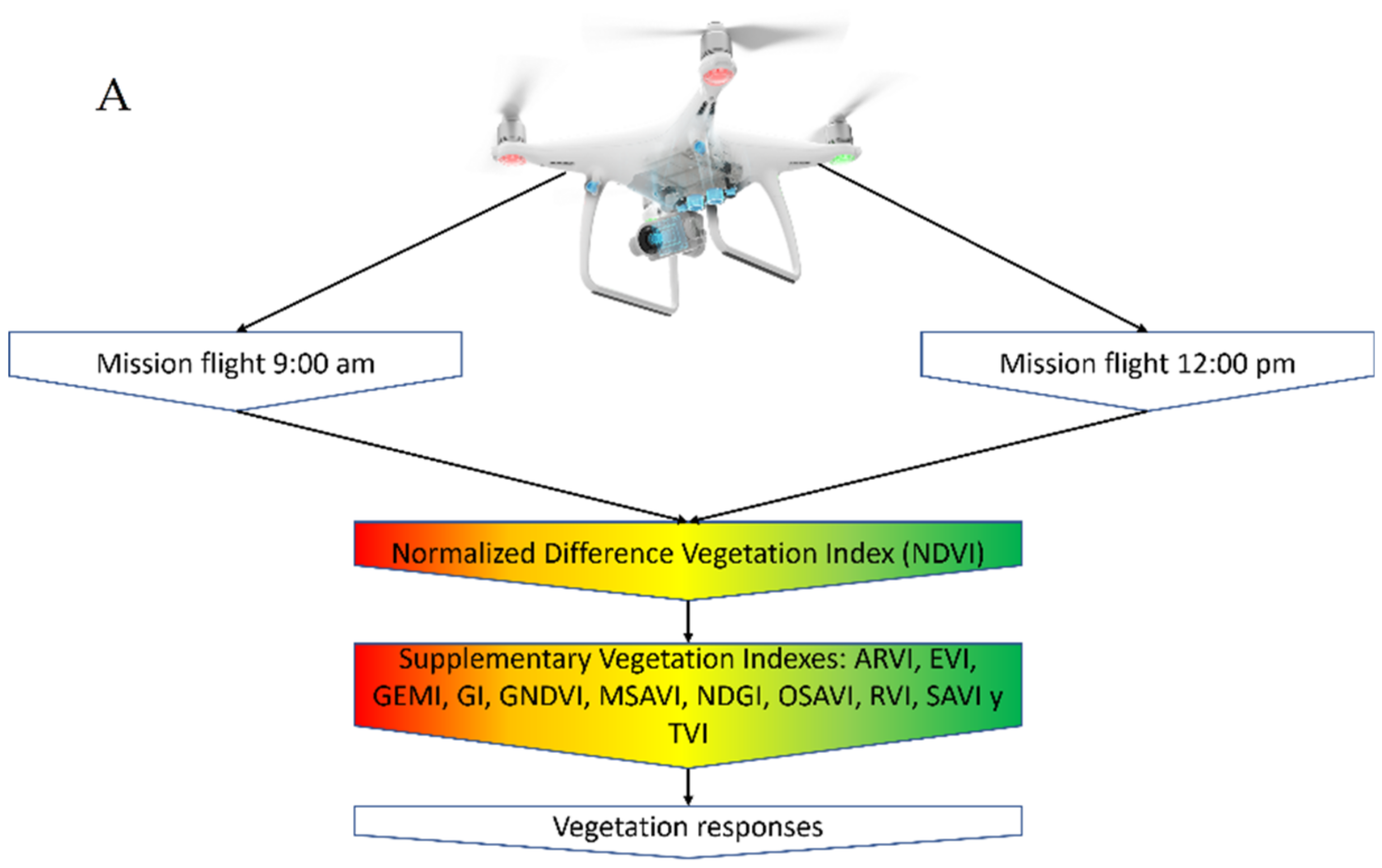 Forests 13 01901 g001a