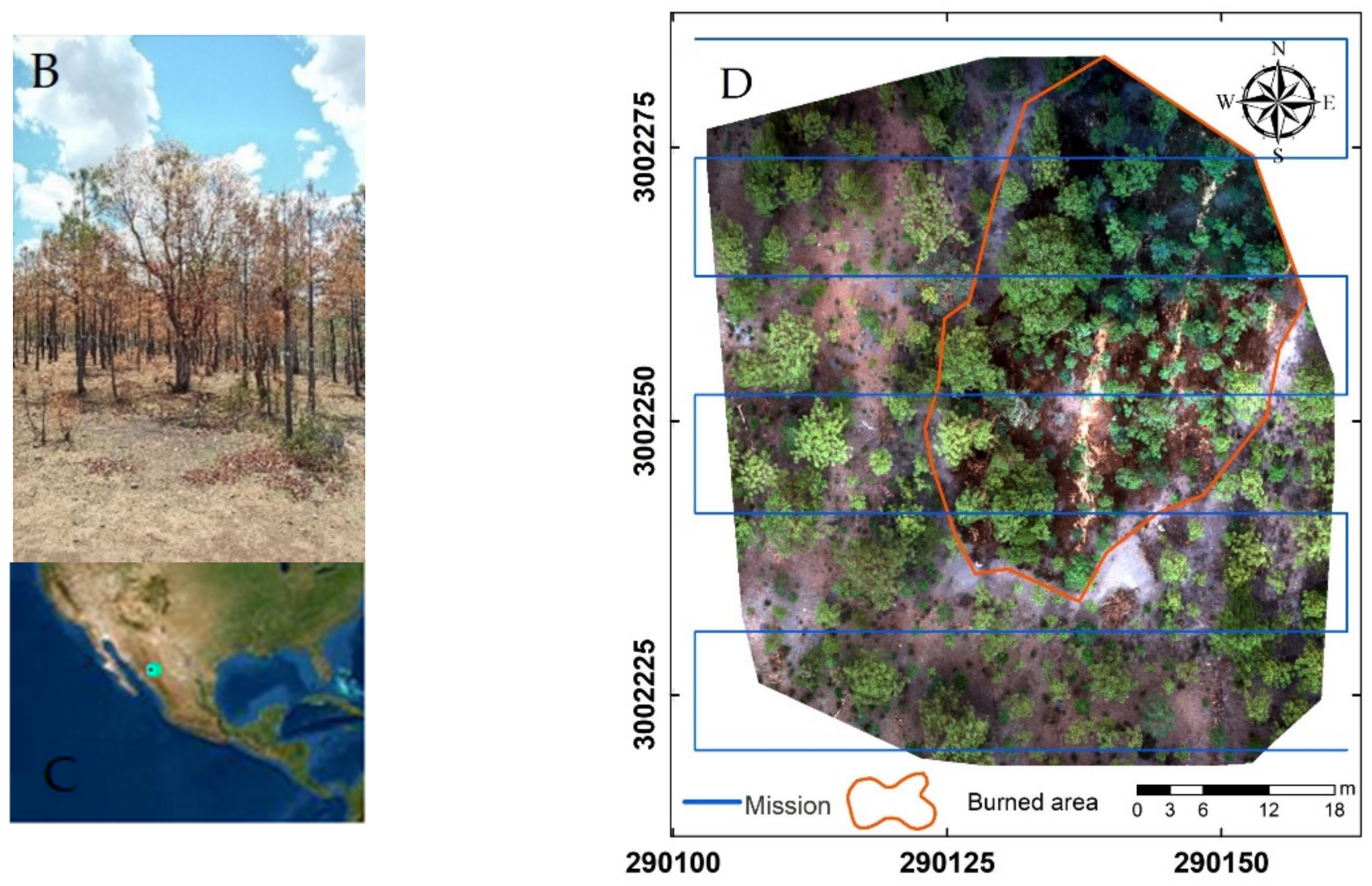 Forests 13 01901 g001b