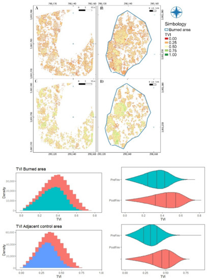 Forests 13 01901 g0a10