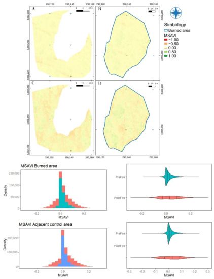 Forests 13 01901 g0a5