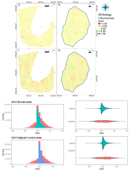 Forests 13 01901 g0a9