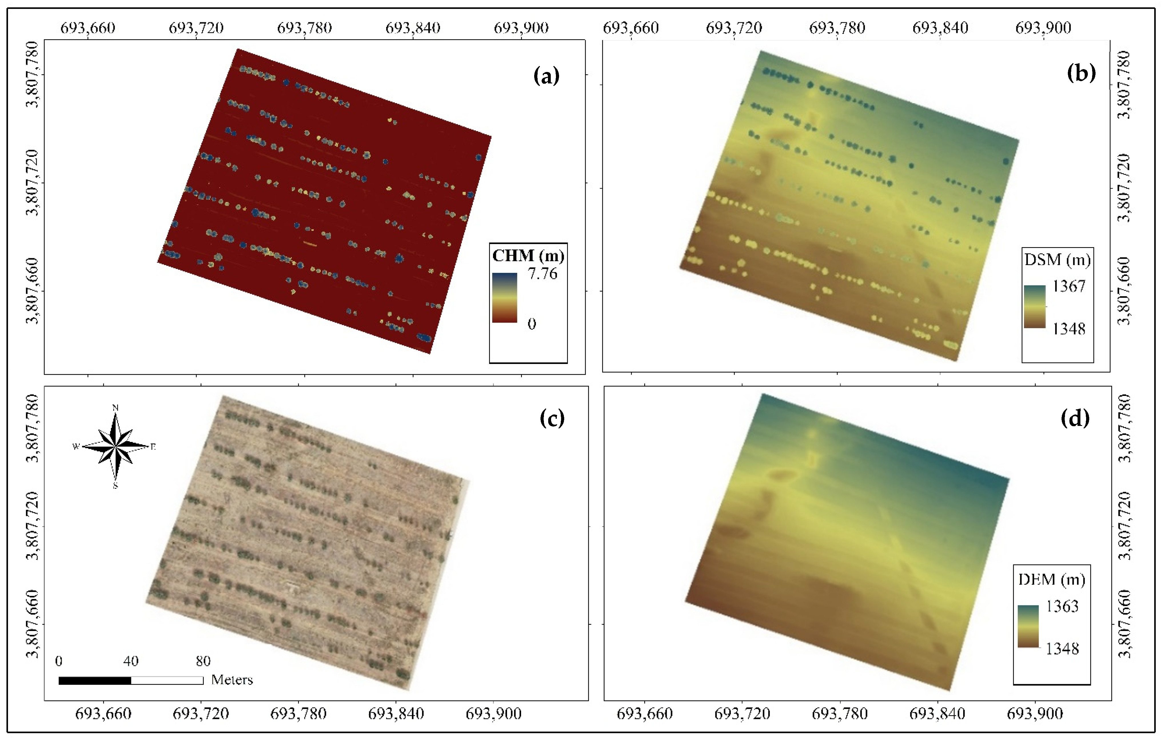 Forests 13 01905 g003