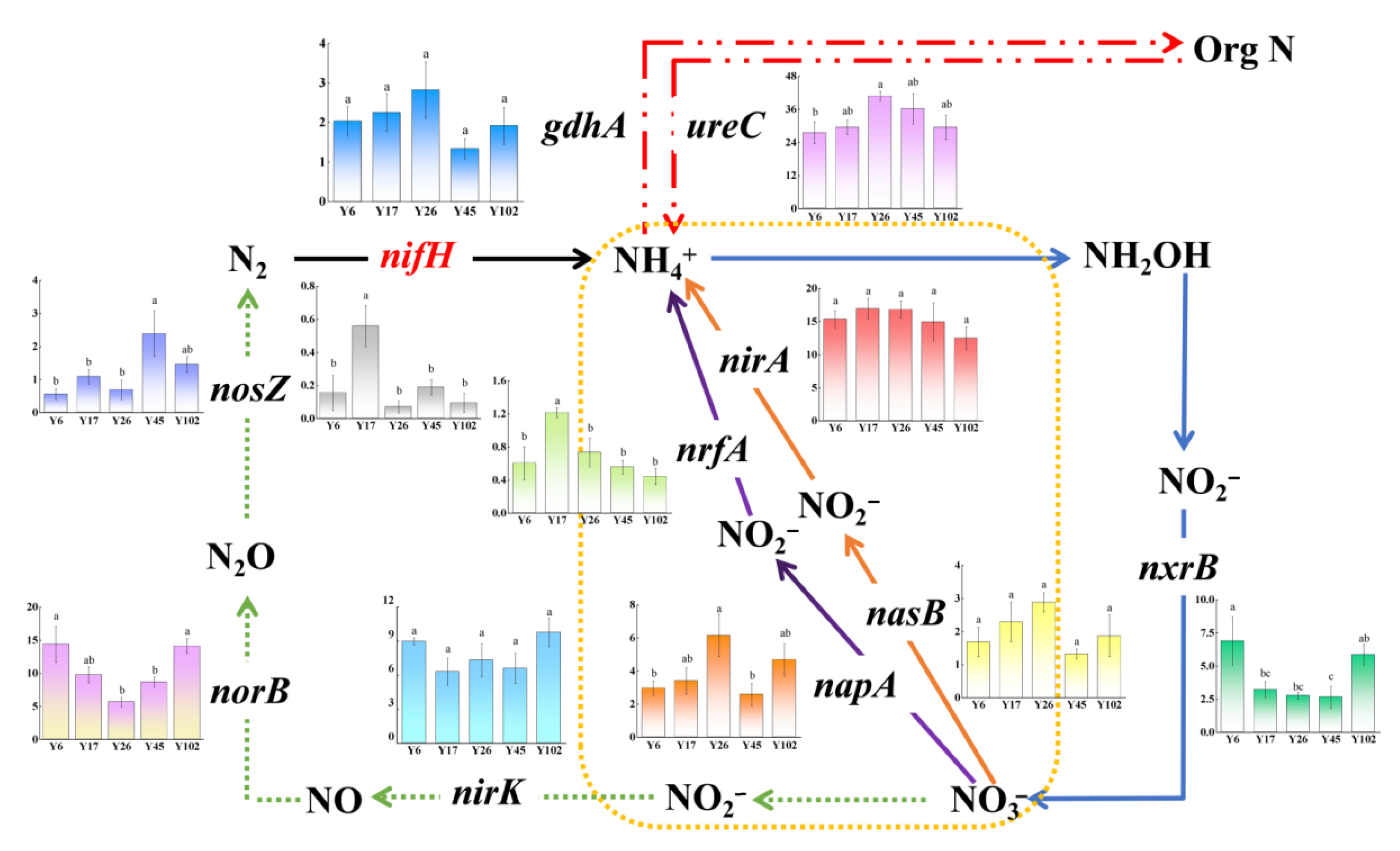 Forests 13 01906 g004