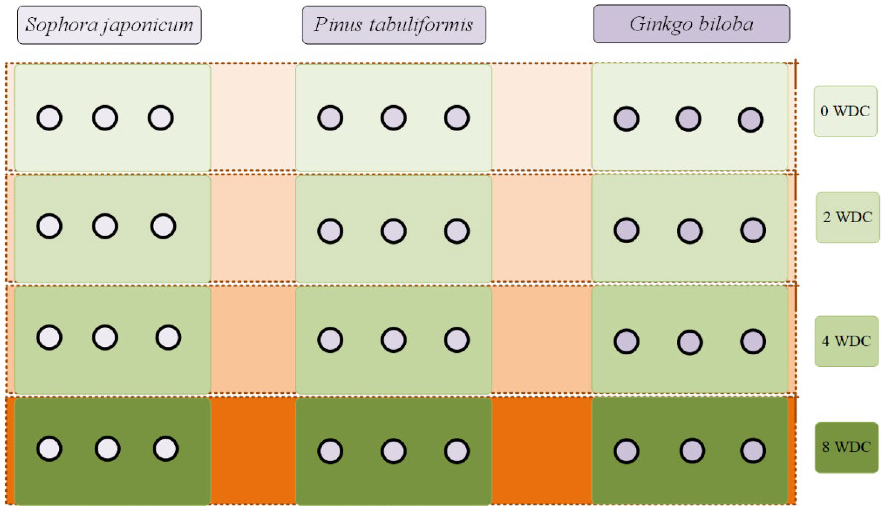 Forests 13 01916 g001