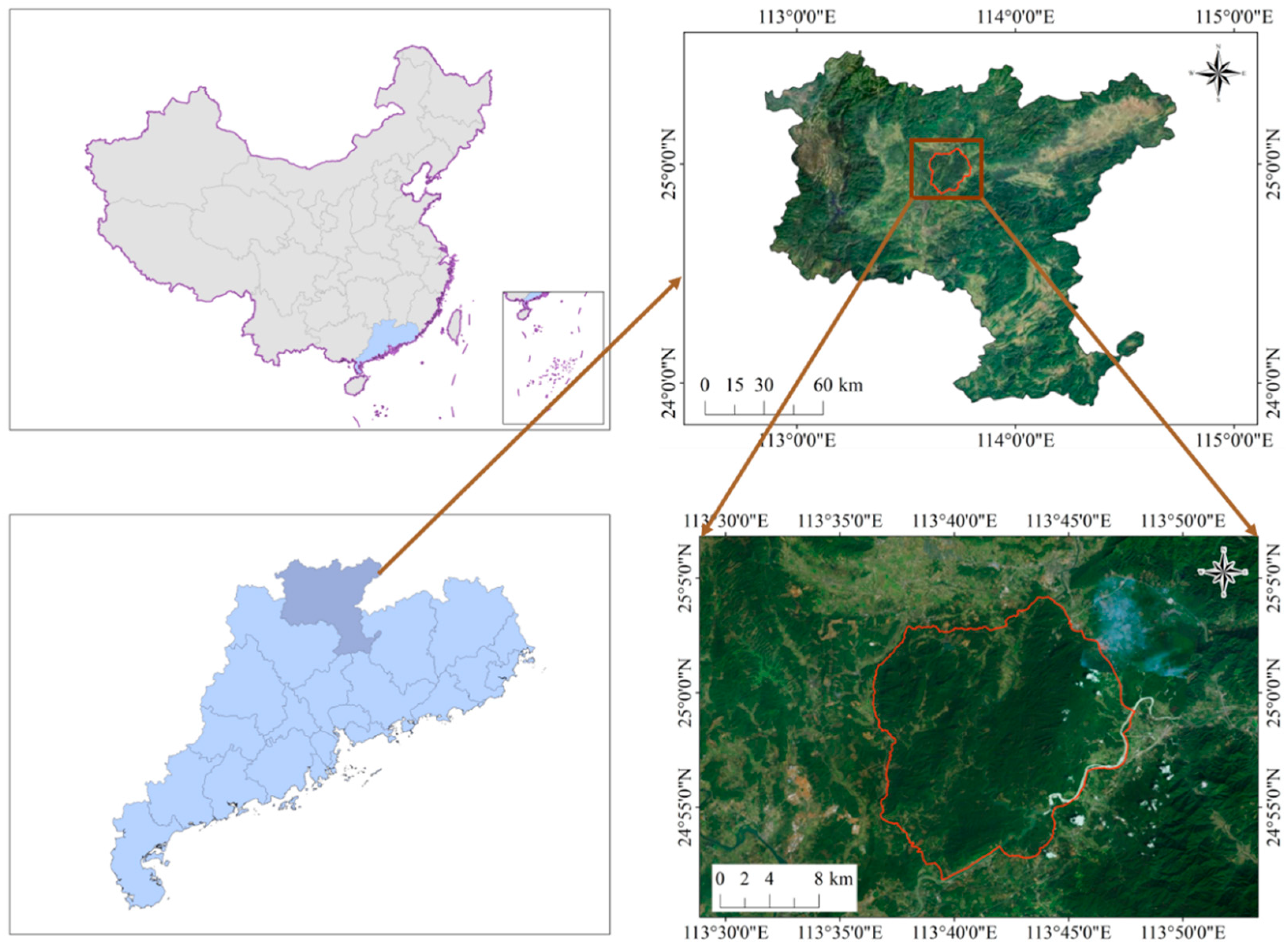 Forests 13 01917 g001