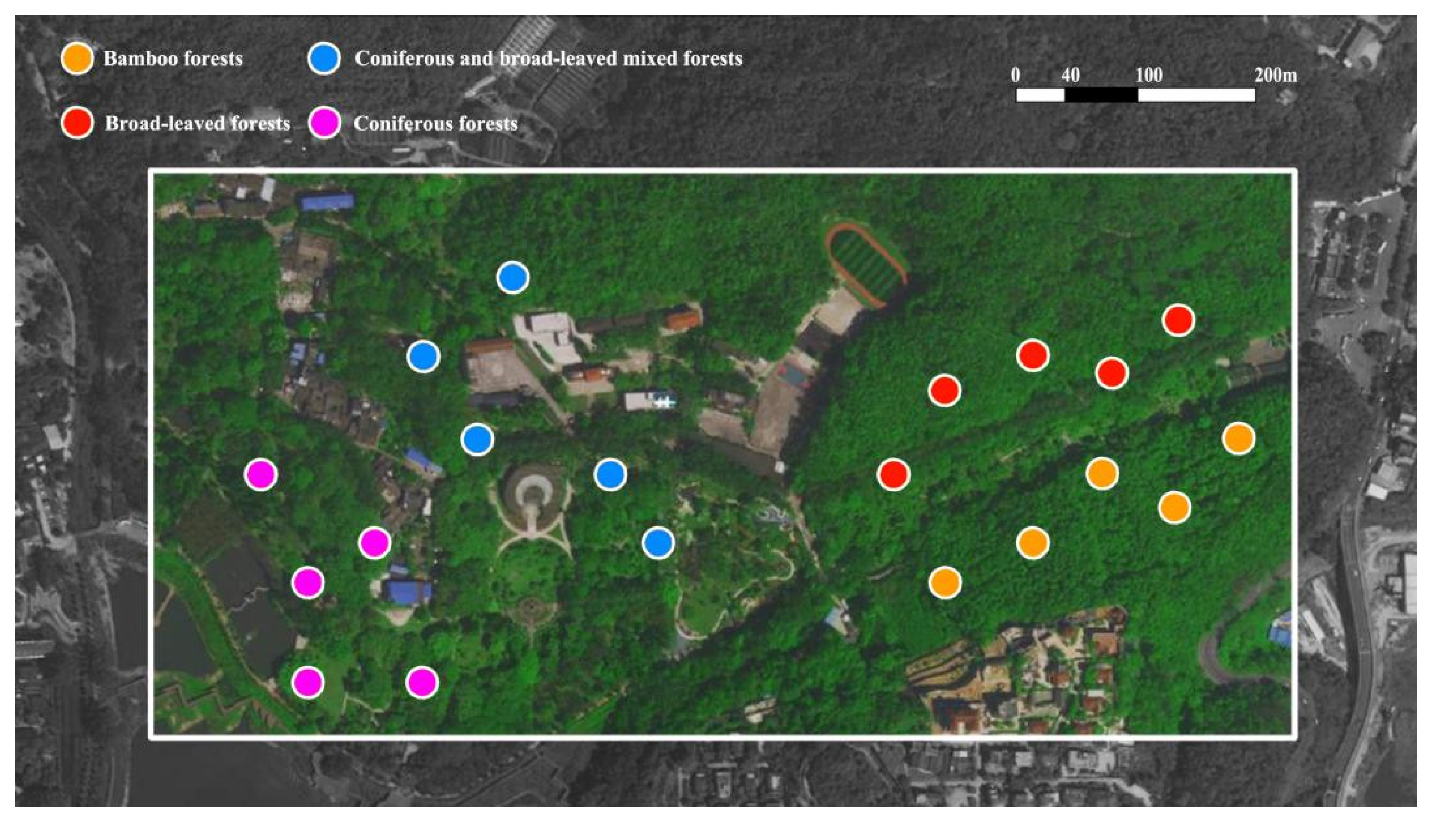 Forests 13 01920 g001 Forests 13 01920 g001