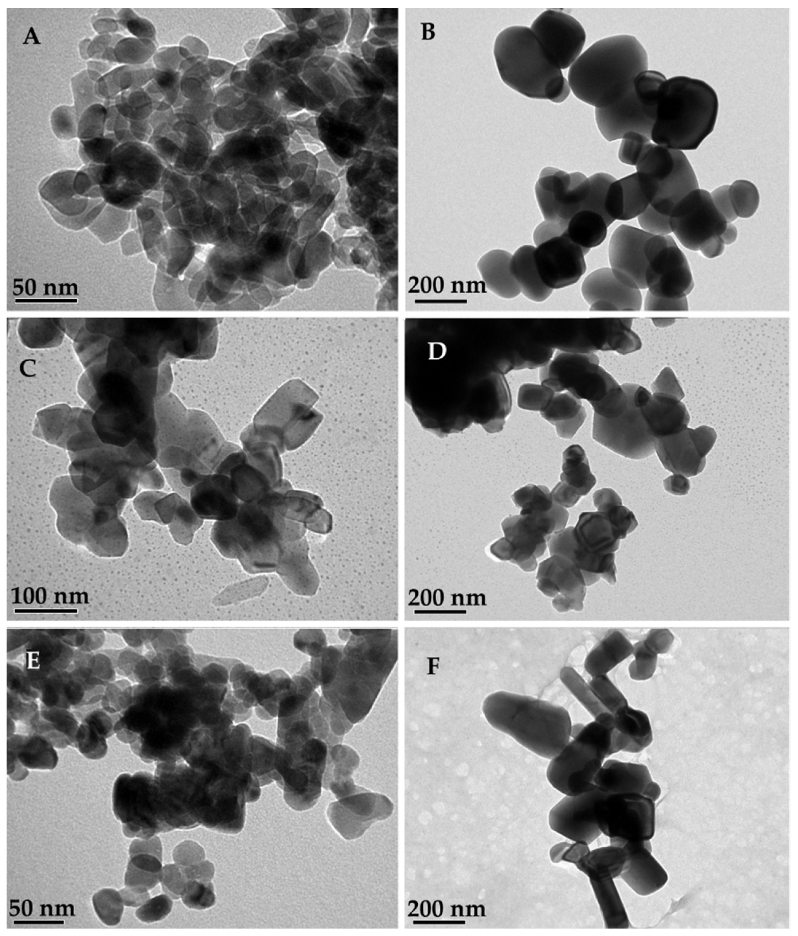 Forests 13 01922 g001