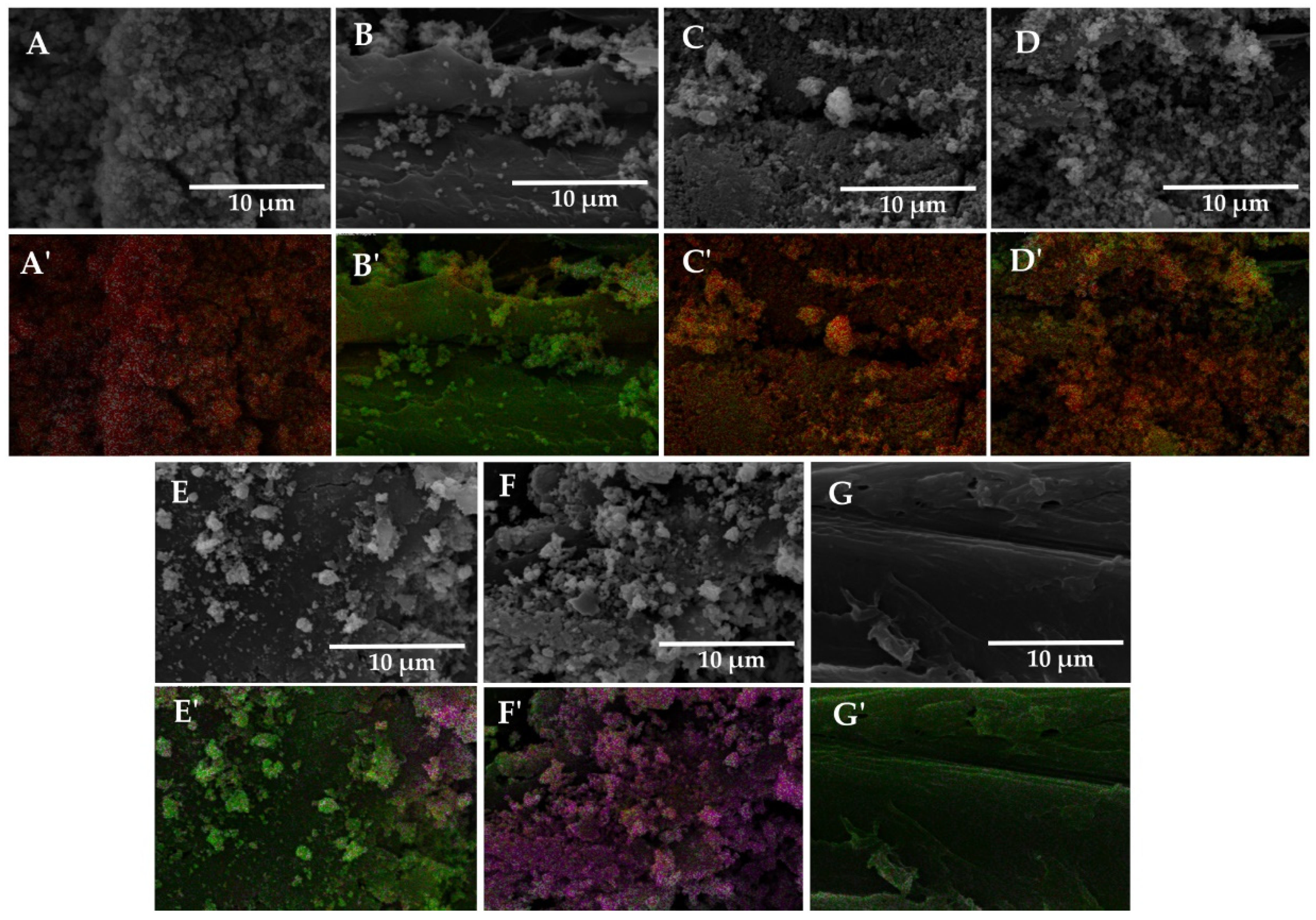 Forests 13 01922 g002