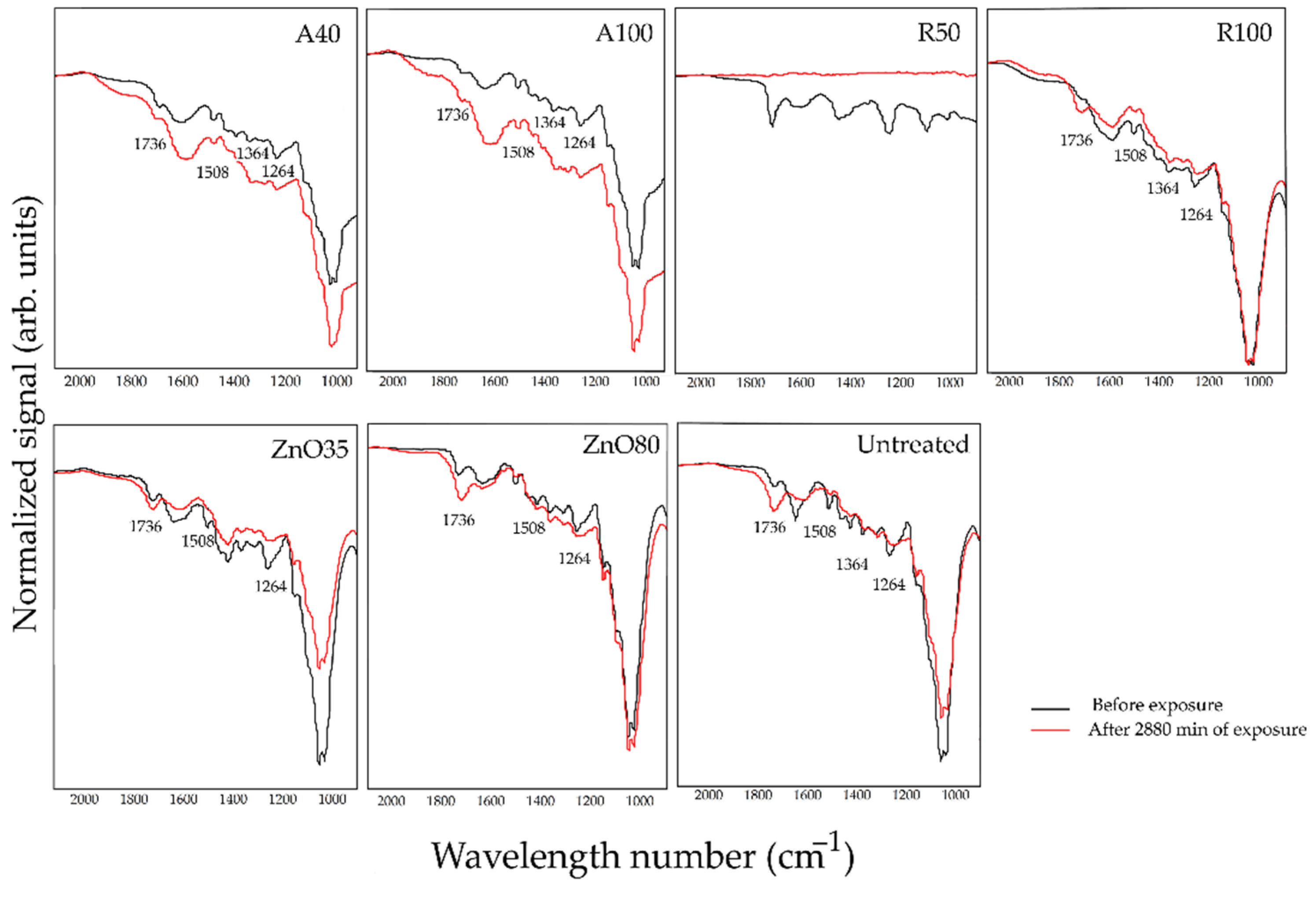 Forests 13 01922 g005