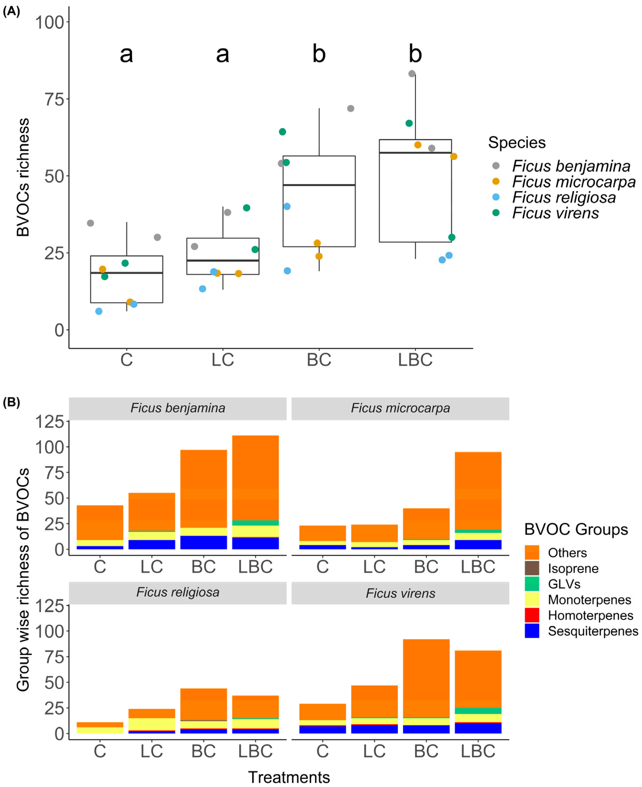 Forests 13 01931 g002