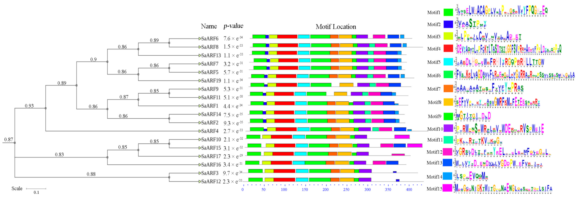 Forests 13 01934 g001 Forests 13 01934 g001