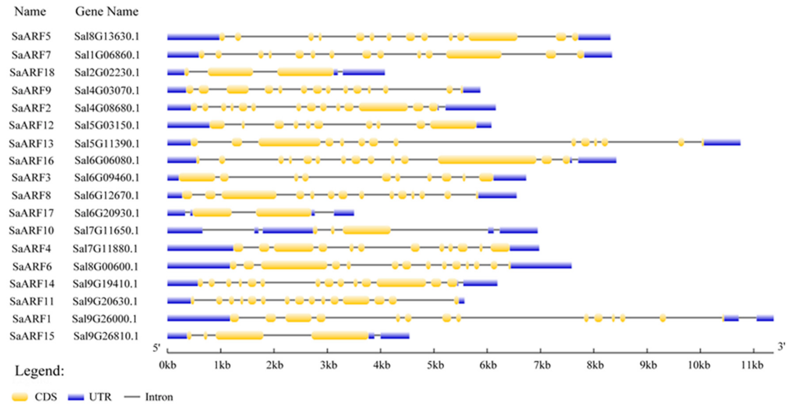 Forests 13 01934 g003 Forests 13 01934 g003