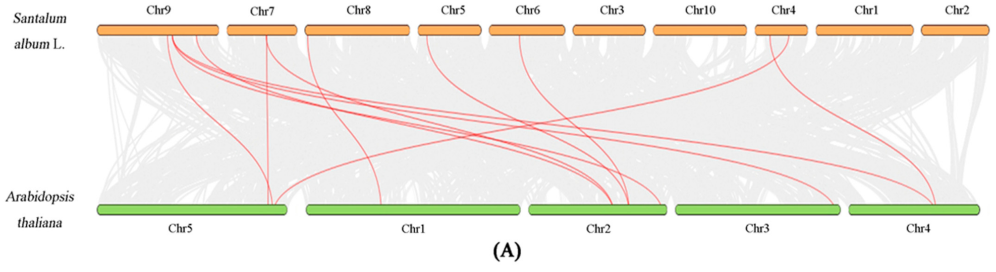 Forests 13 01934 g006a Forests 13 01934 g006a
