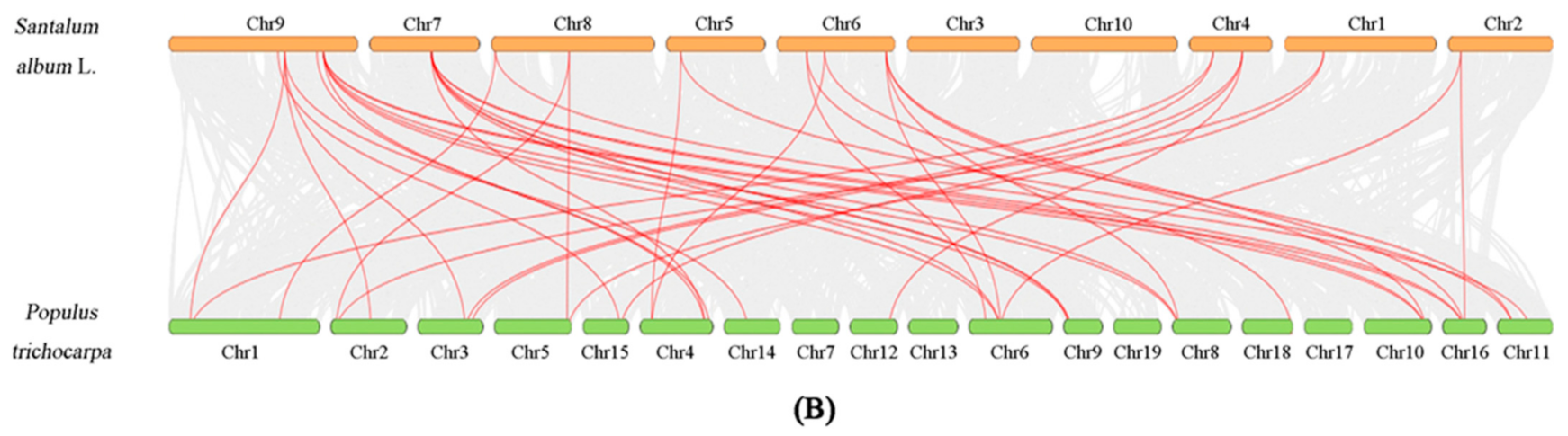 Forests 13 01934 g006b Forests 13 01934 g006b