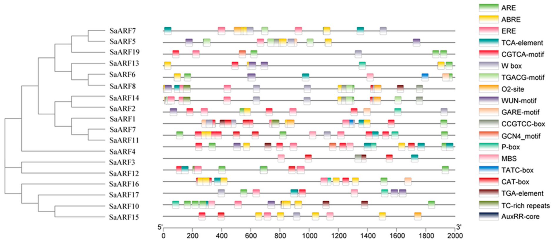 Forests 13 01934 g008 Forests 13 01934 g008