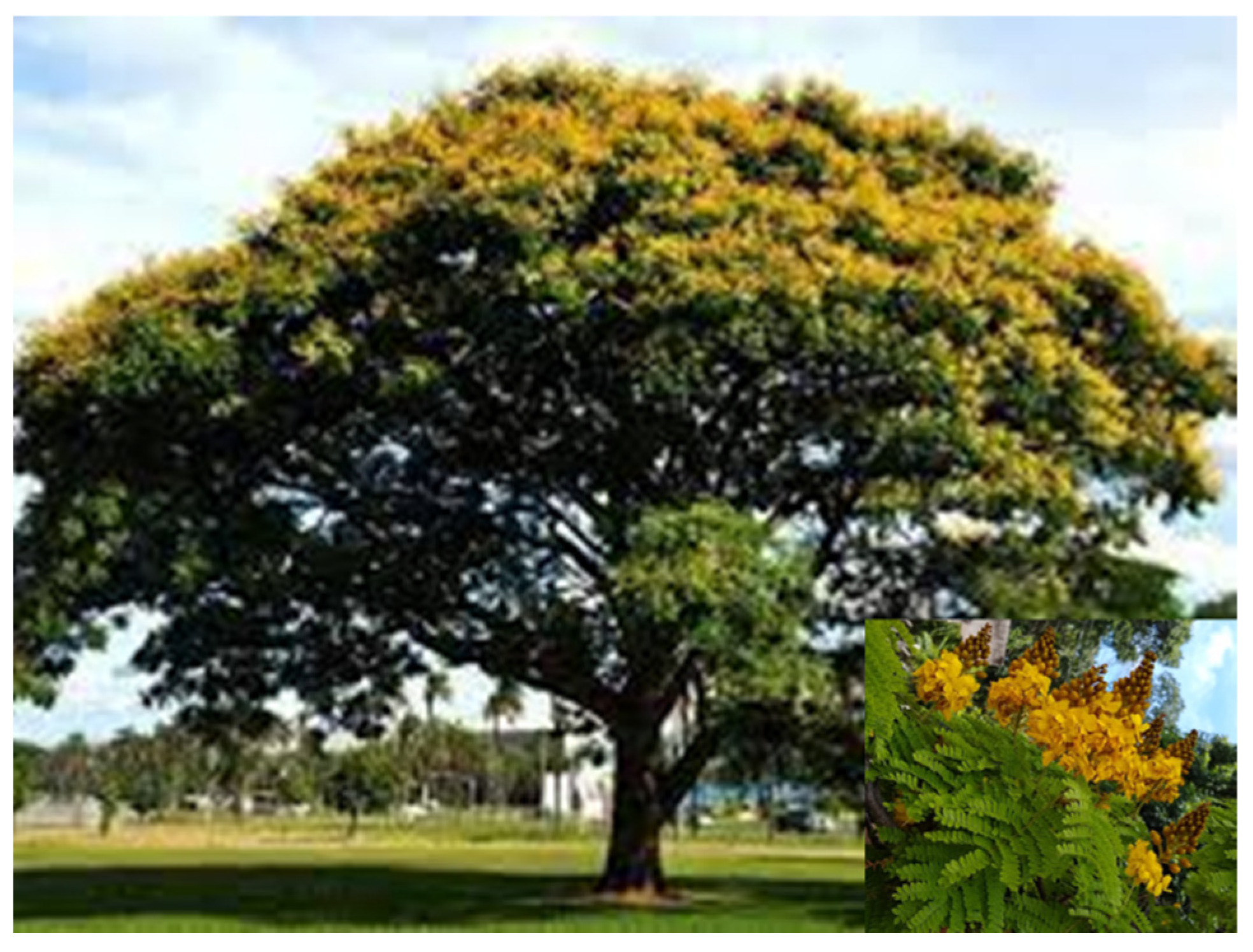 Forests 13 01935 g002