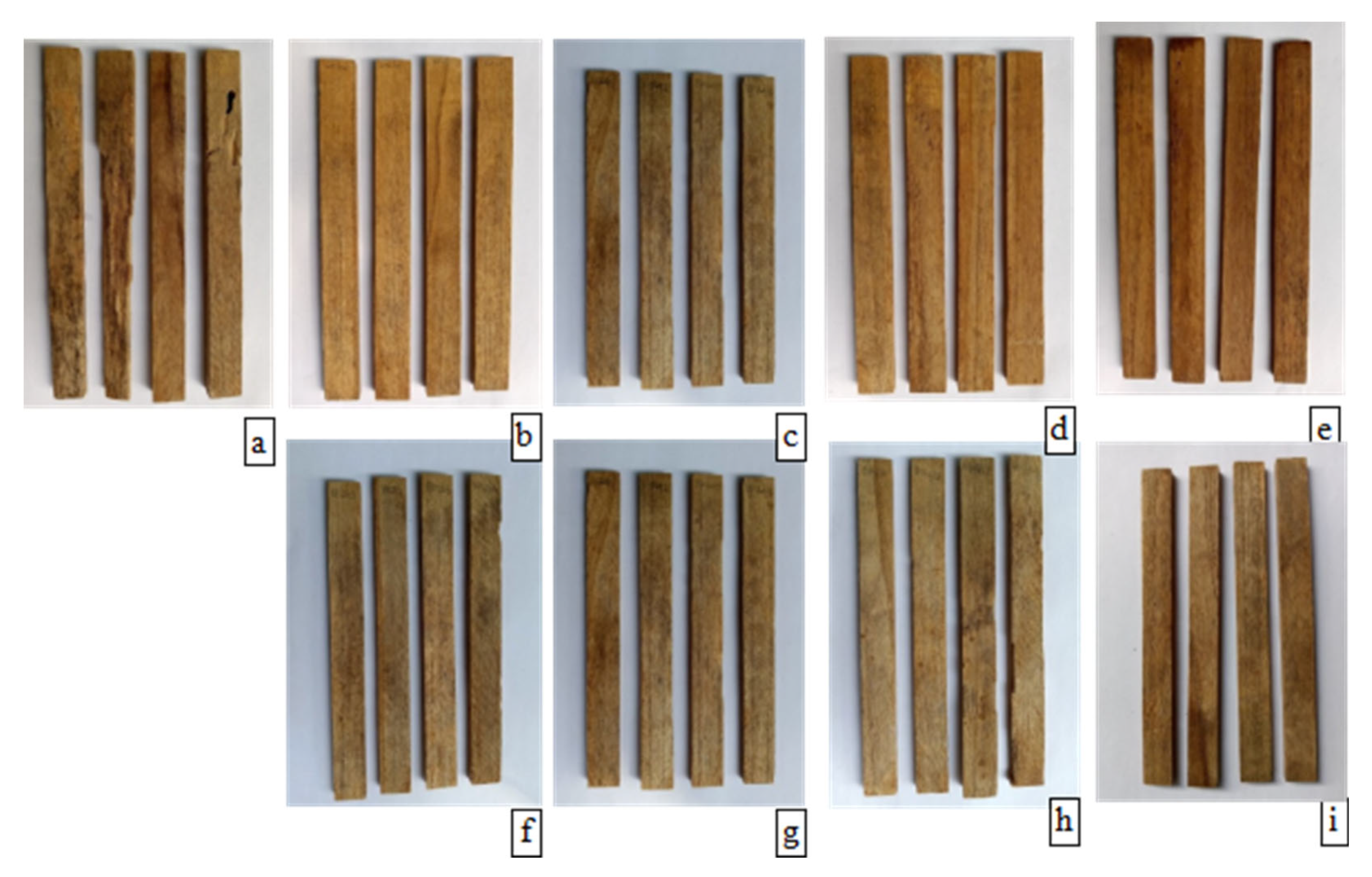 Forests 13 01938 g007 Forests 13 01938 g007